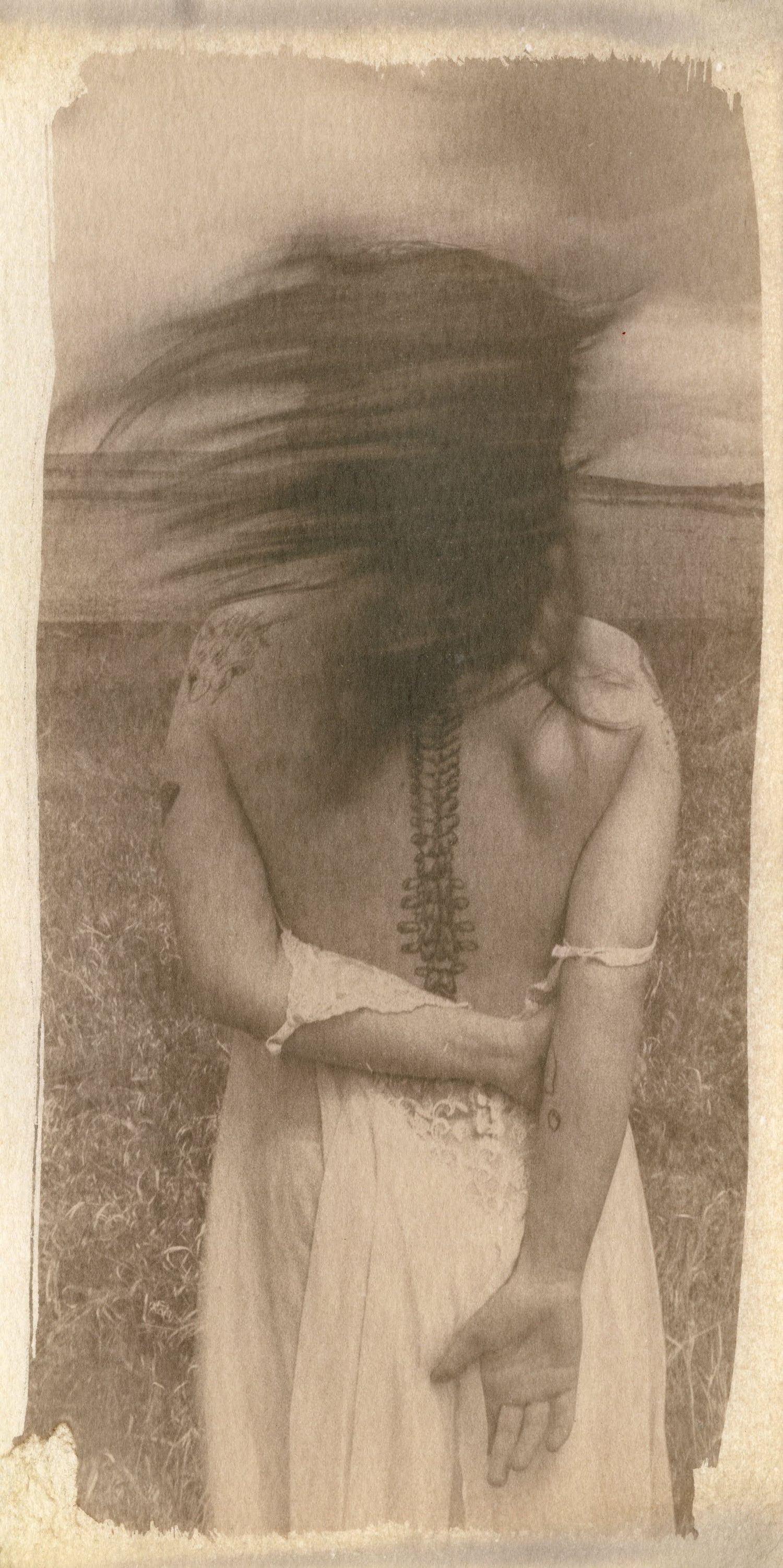 Cyanotype, bleached and toned with bay leaves