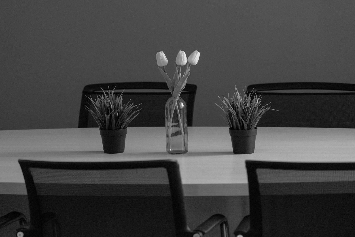 Black and white photo of a conference table with tulips in a vase and potted plants, surrounded by office chairs.