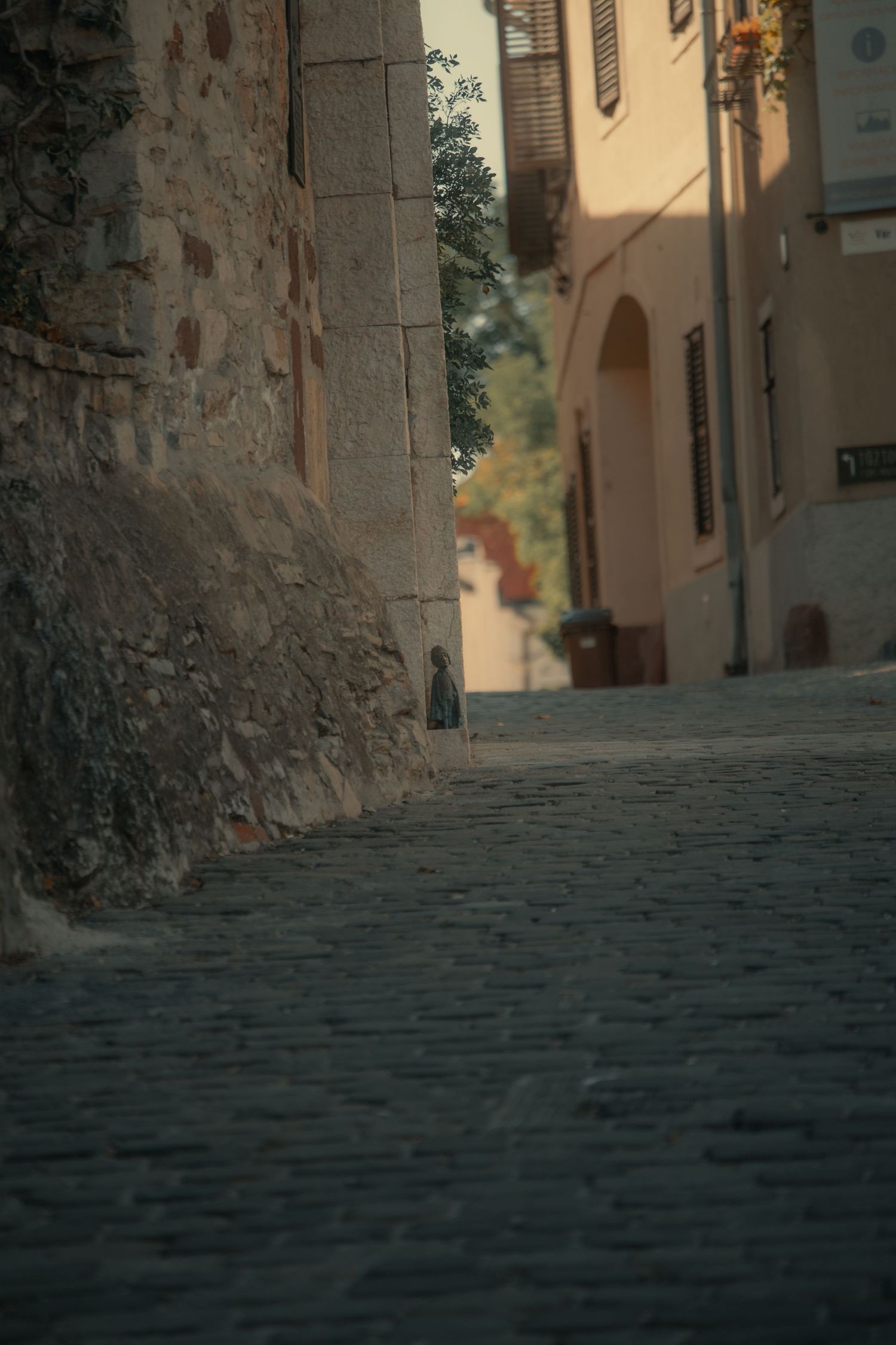 Narrow cobblestone alley between old stone and stucco buildings in a quiet medieval European village.