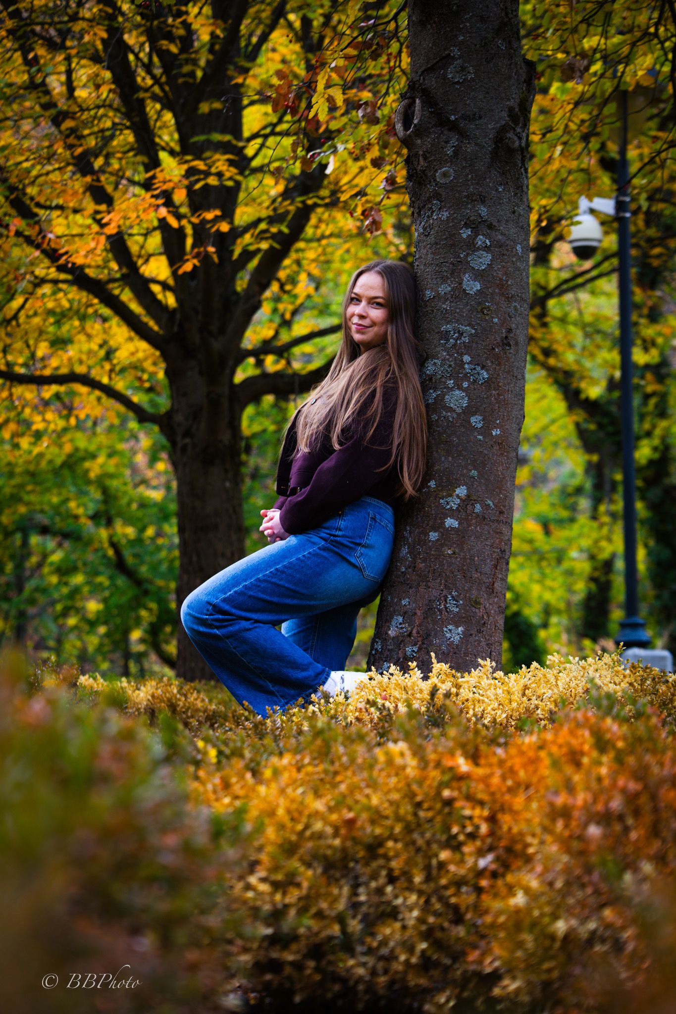 Young woman with long brown hair leaning against a tree trunk in an autumn park, surrounded by golden foliage and orange shrubs.