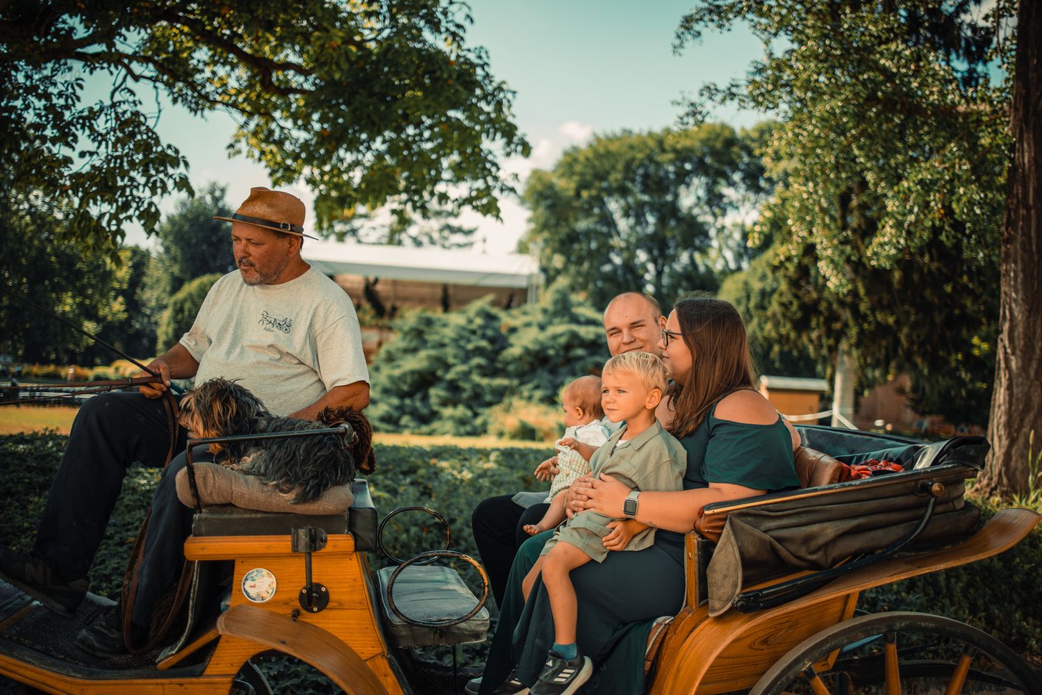 Family enjoying a horse-drawn carriage ride with a driver in a sunny park setting.