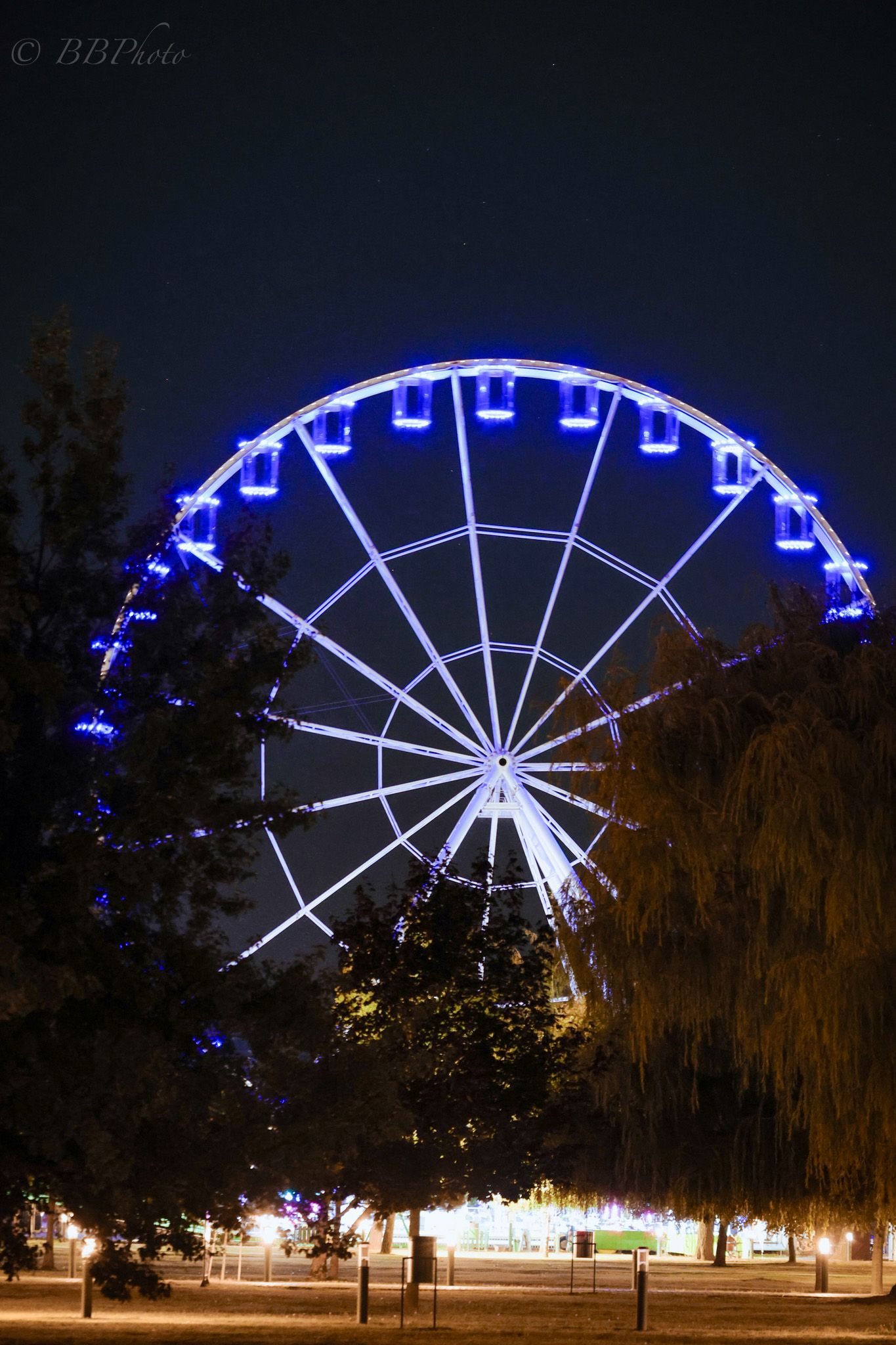 A glowing blue Ferris wheel illuminated at night against a dark sky, surrounded by trees in an amusement park.