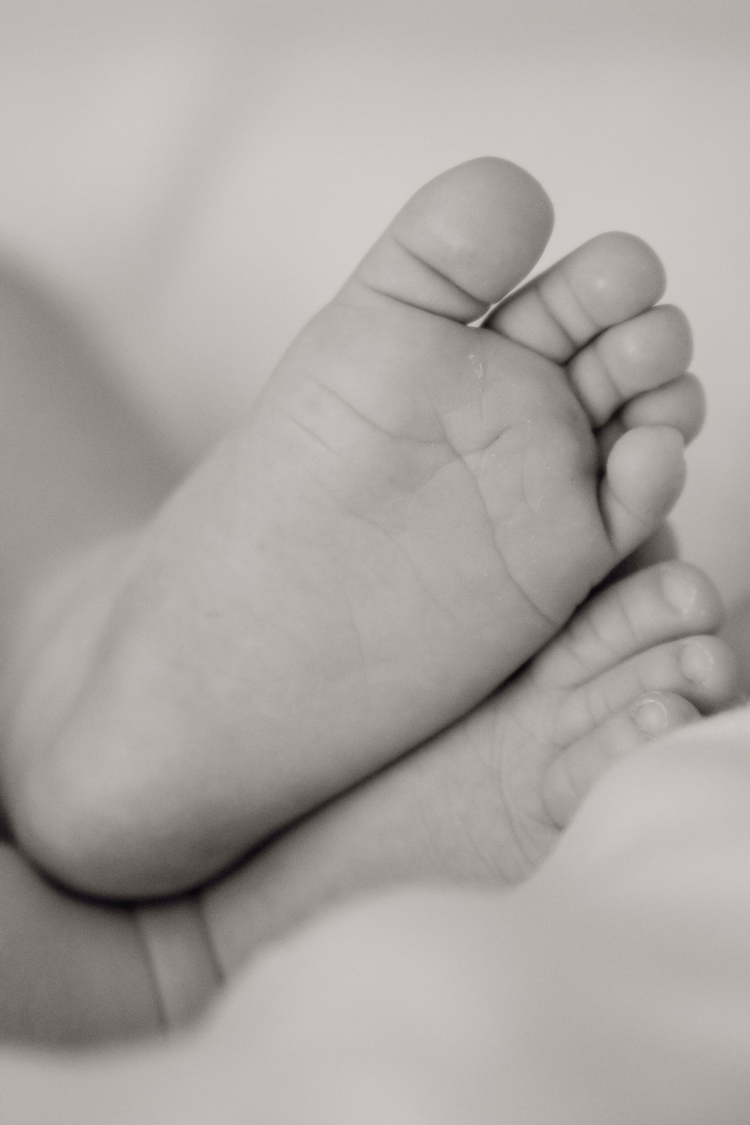 Close-up black and white photo of delicate newborn baby feet resting together.
