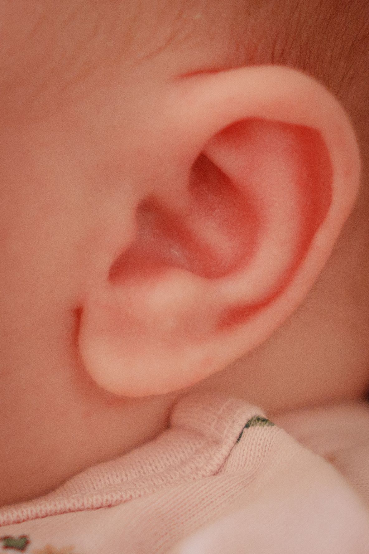 Close-up of a newborn baby's delicate pink ear, showing soft skin and tiny ear details.