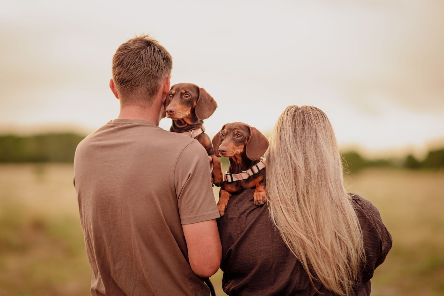 Couple holding two brown dachshund puppies in an open field with a cloudy sky backdrop.