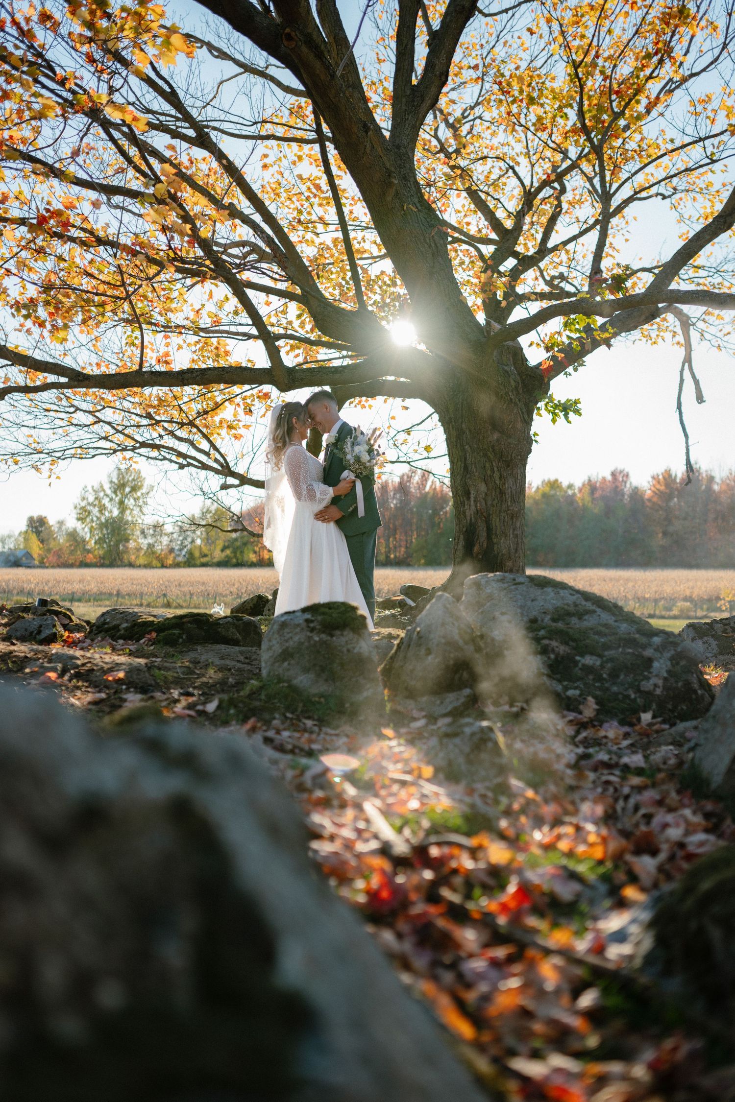Bride and groom kissing under golden autumn tree with sunburst and rocky field in background.