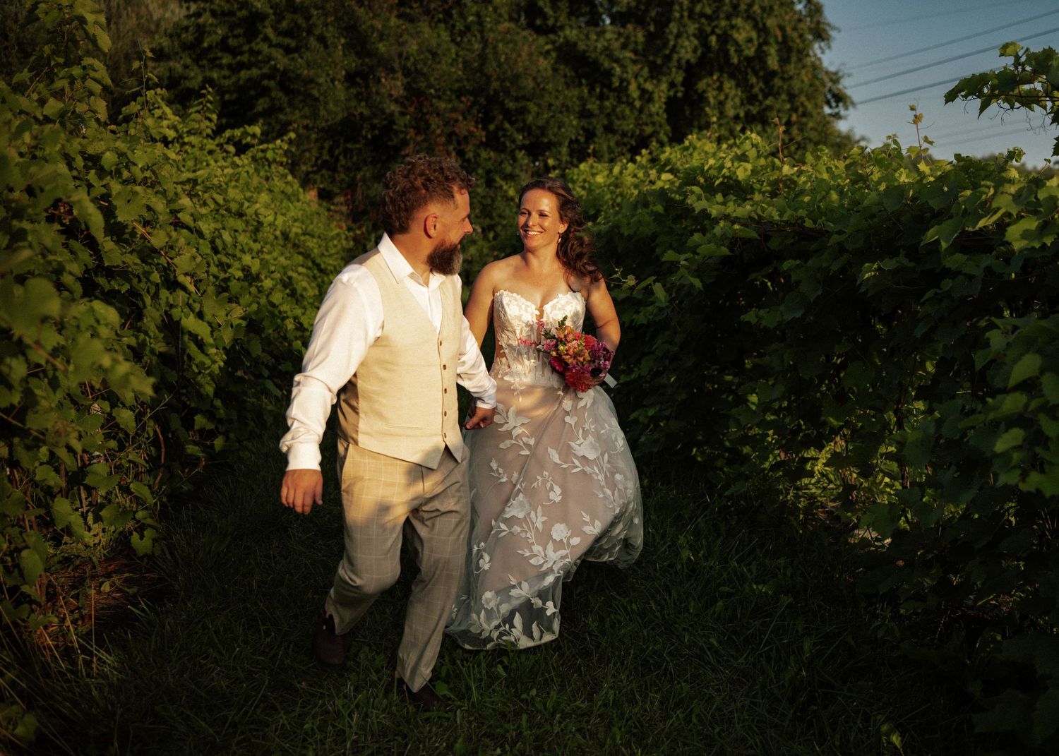 Bride and groom walk hand in hand through a lush green vineyard in golden evening light.