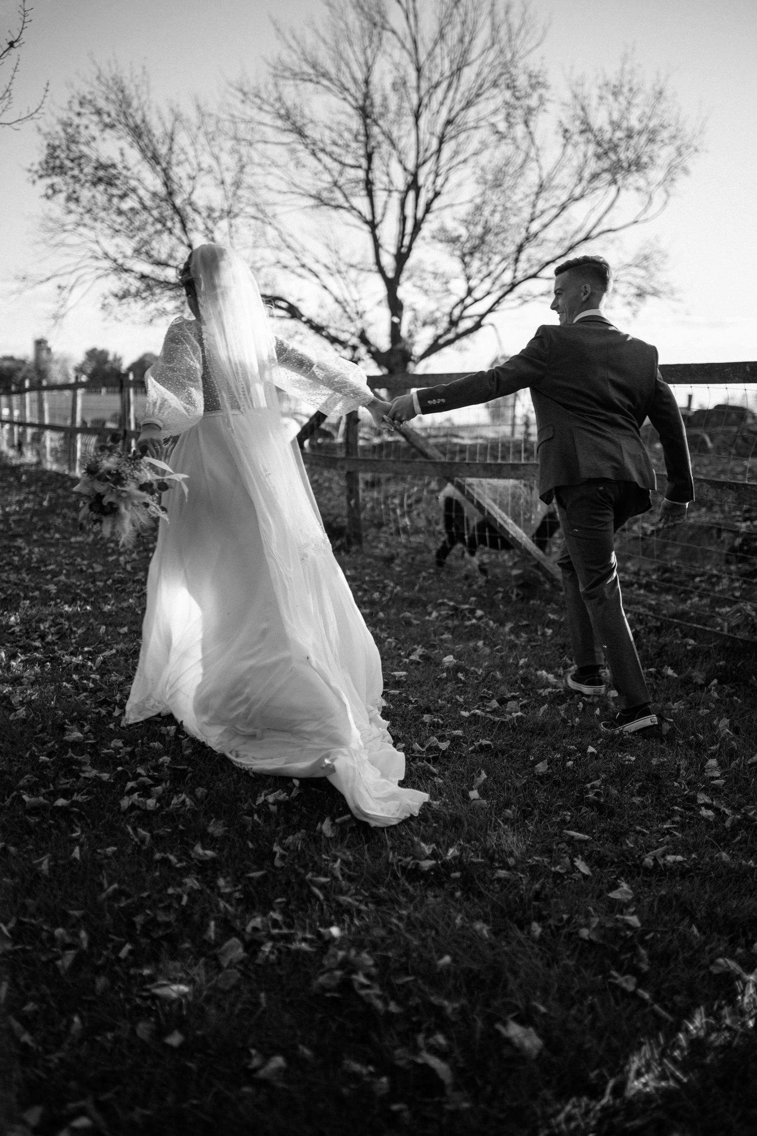 Black and white photo of bride and groom holding hands walking toward rustic fence outdoors.