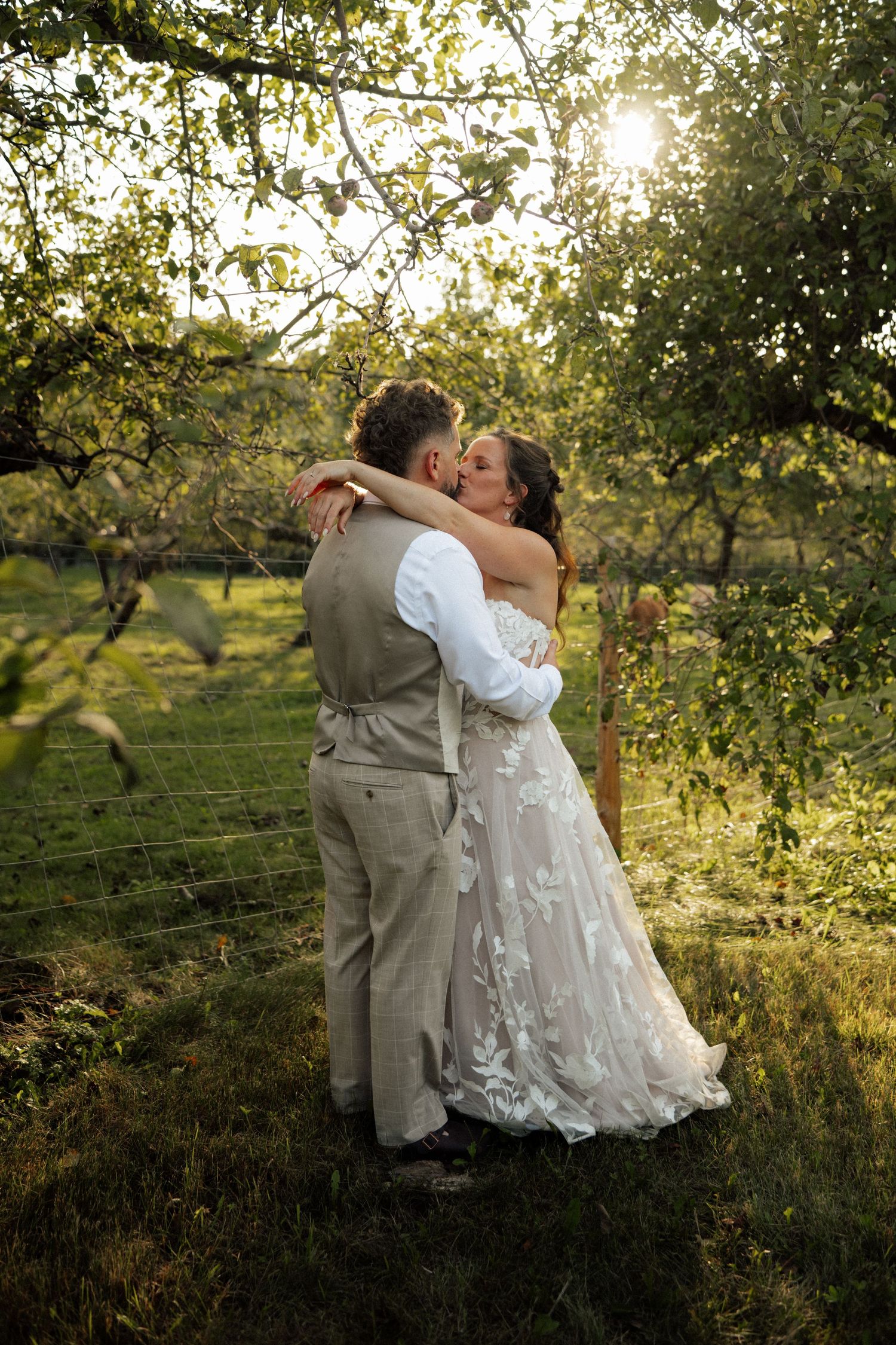 A bride and groom share a romantic kiss under sunlit apple tree branches in a lush green orchard.