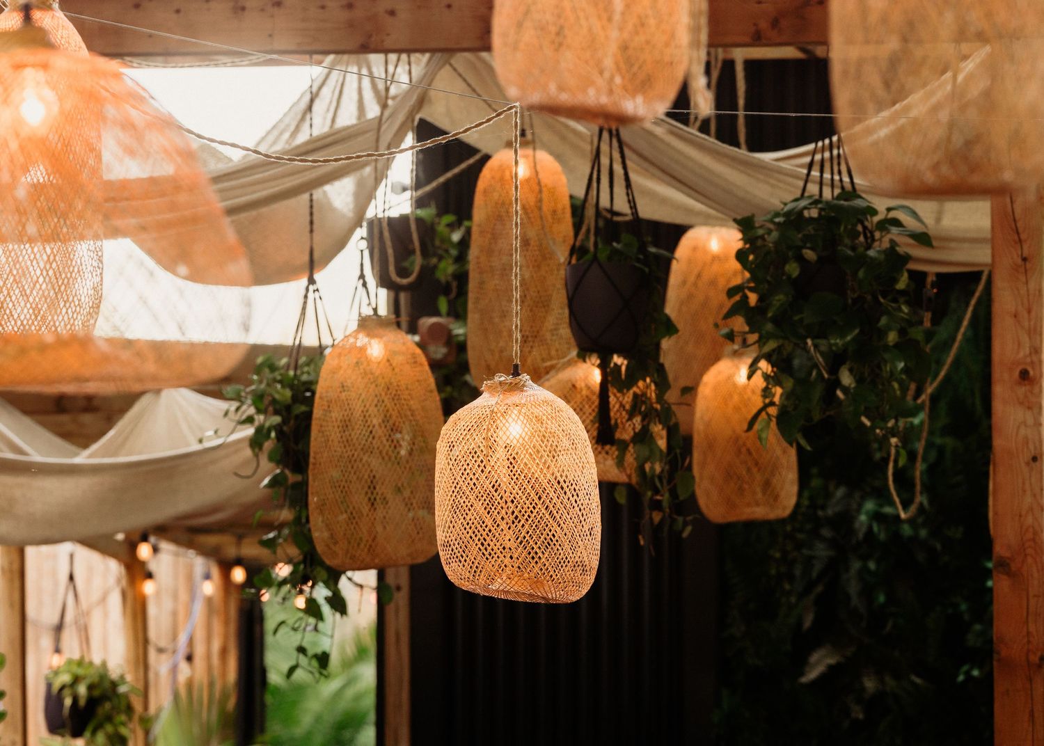 Boho wicker pendant lights hang from draped fabric ceiling with lush green plants in a warm decorated space.