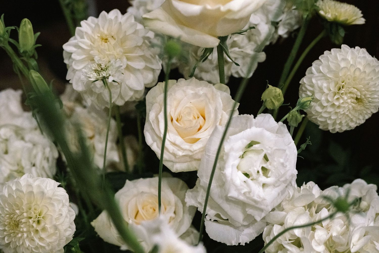Close-up of elegant white wedding bouquet featuring roses and dahlias with lush green stems.
