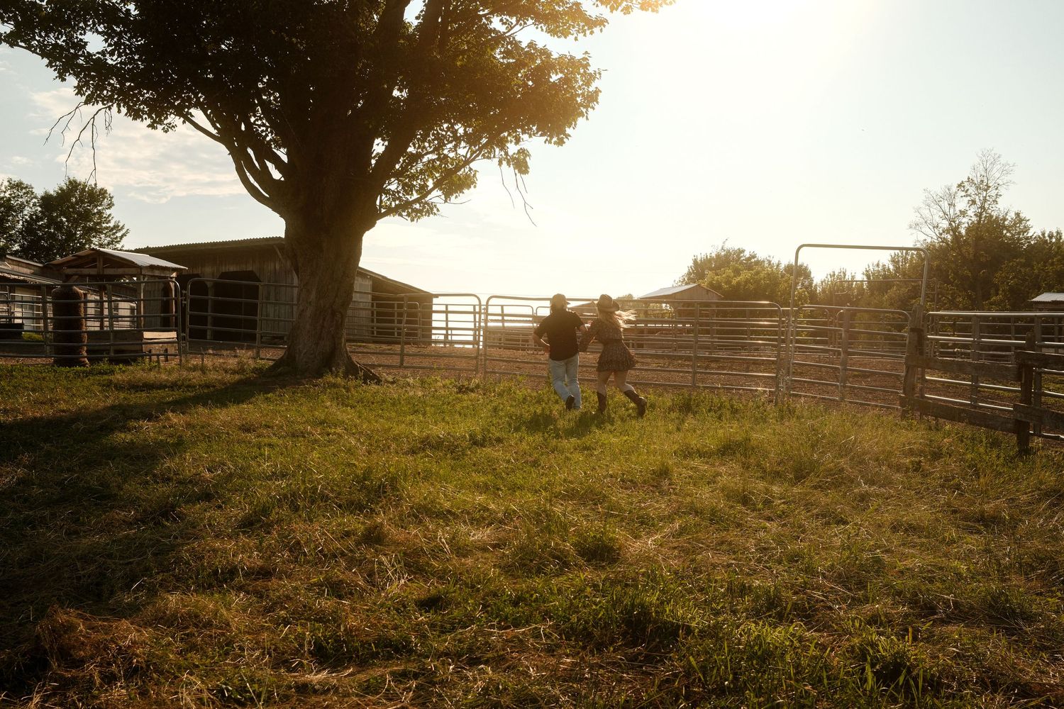 Two people walking hand in hand across a sunny green farm field with large tree and ranch fencing.