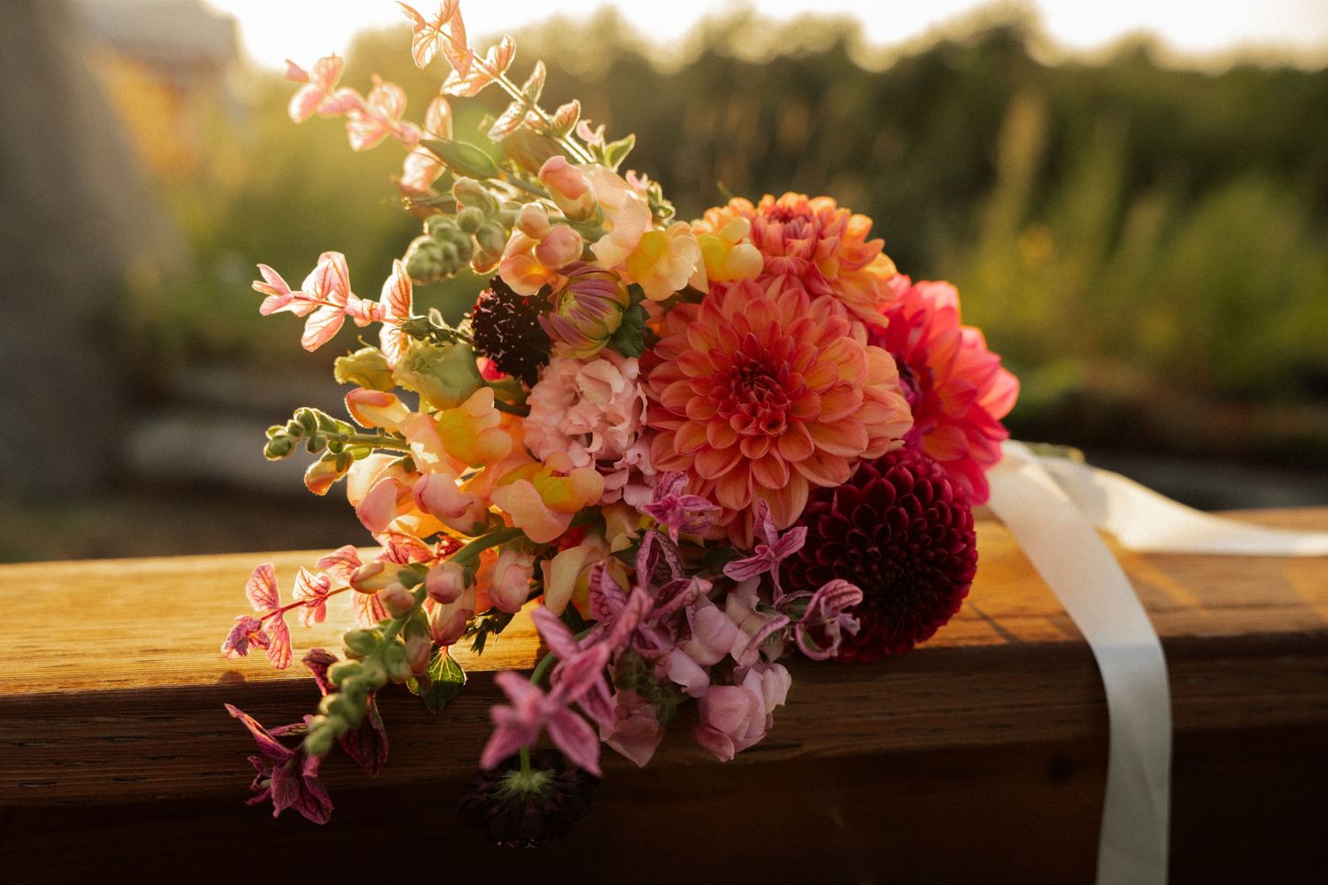Vibrant bridal bouquet of dahlias, snapdragons, and wildflowers resting on wood in golden sunset light.