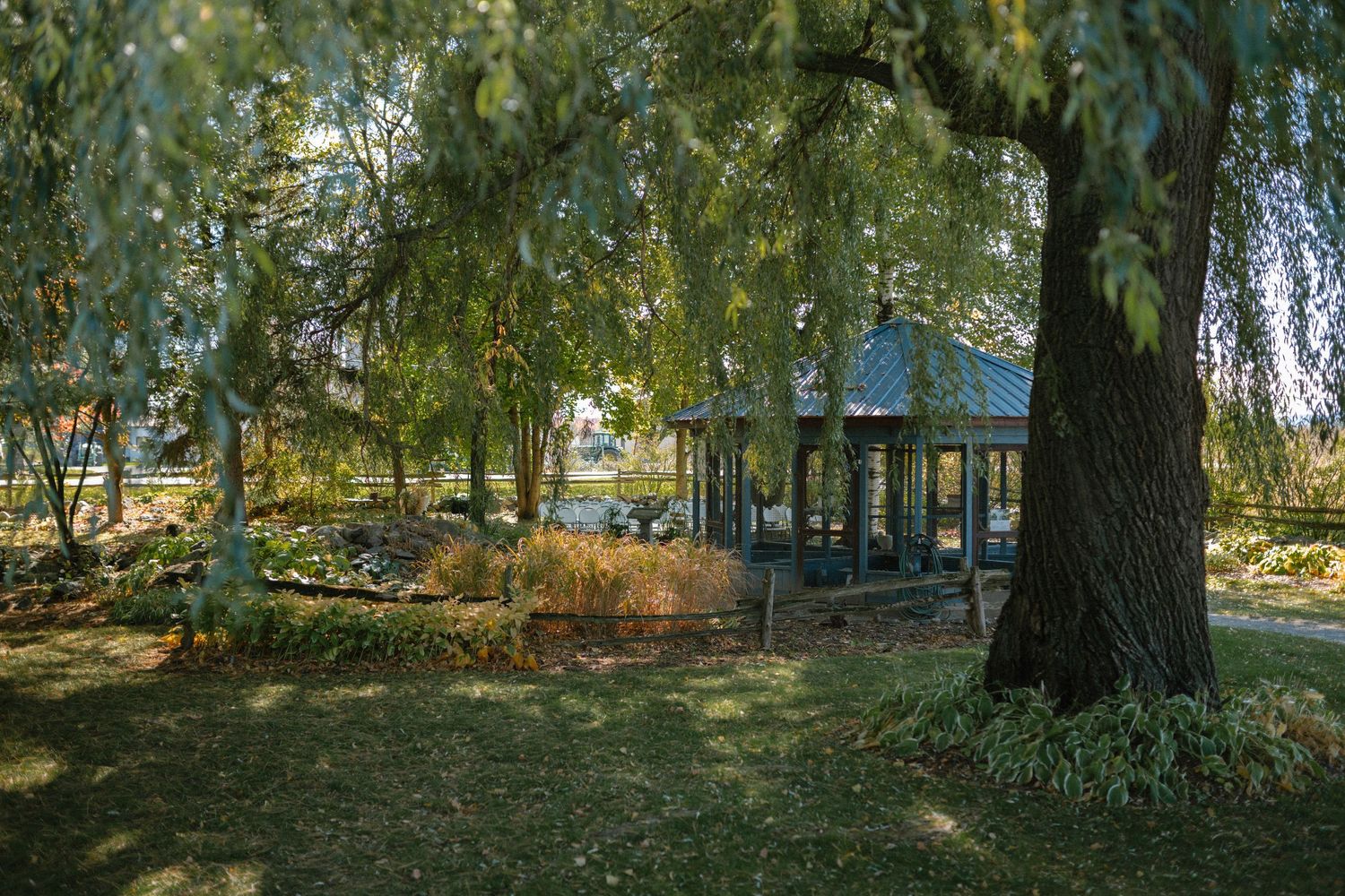 A serene park gazebo surrounded by weeping willow trees and lush greenery on a sunny autumn day.