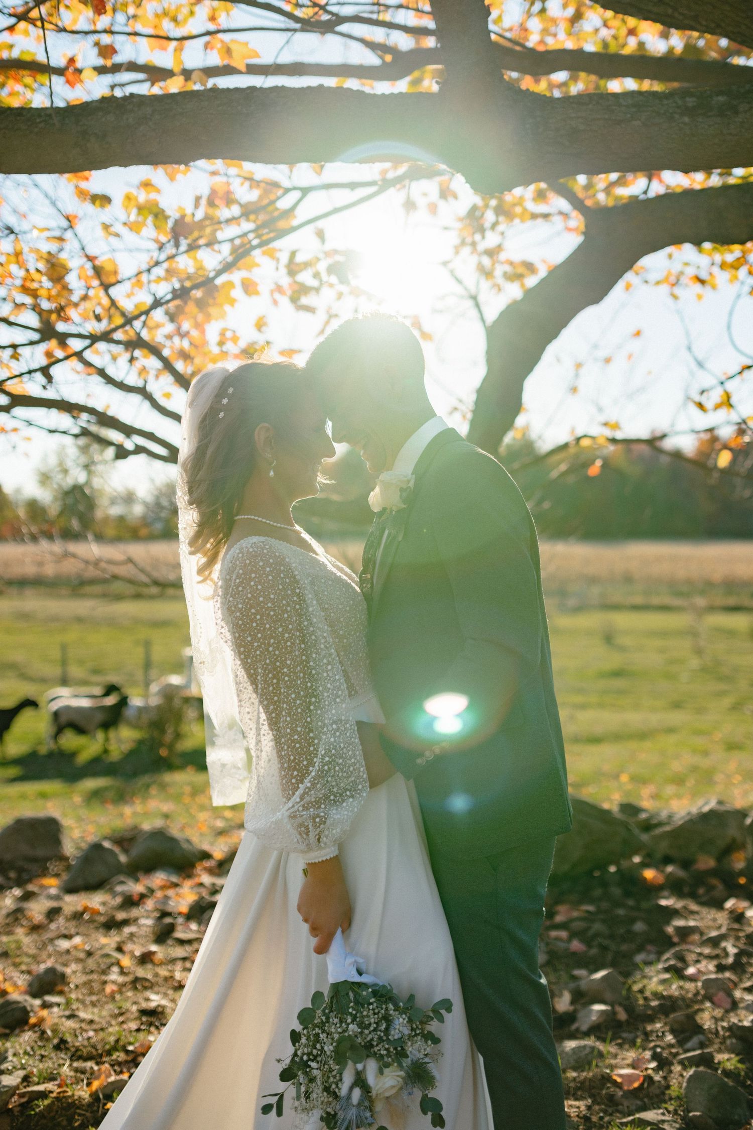 Bride and groom share romantic moment backlit by golden sun beneath autumn tree on wedding day.