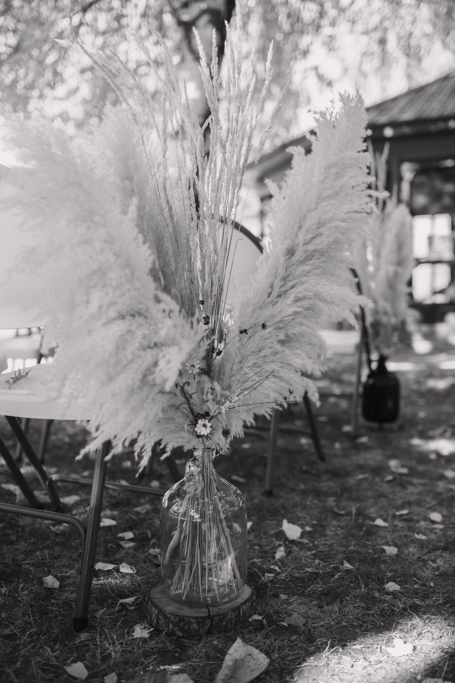 Black and white photo of pampas grass arrangement in glass vase at outdoor wedding ceremony.