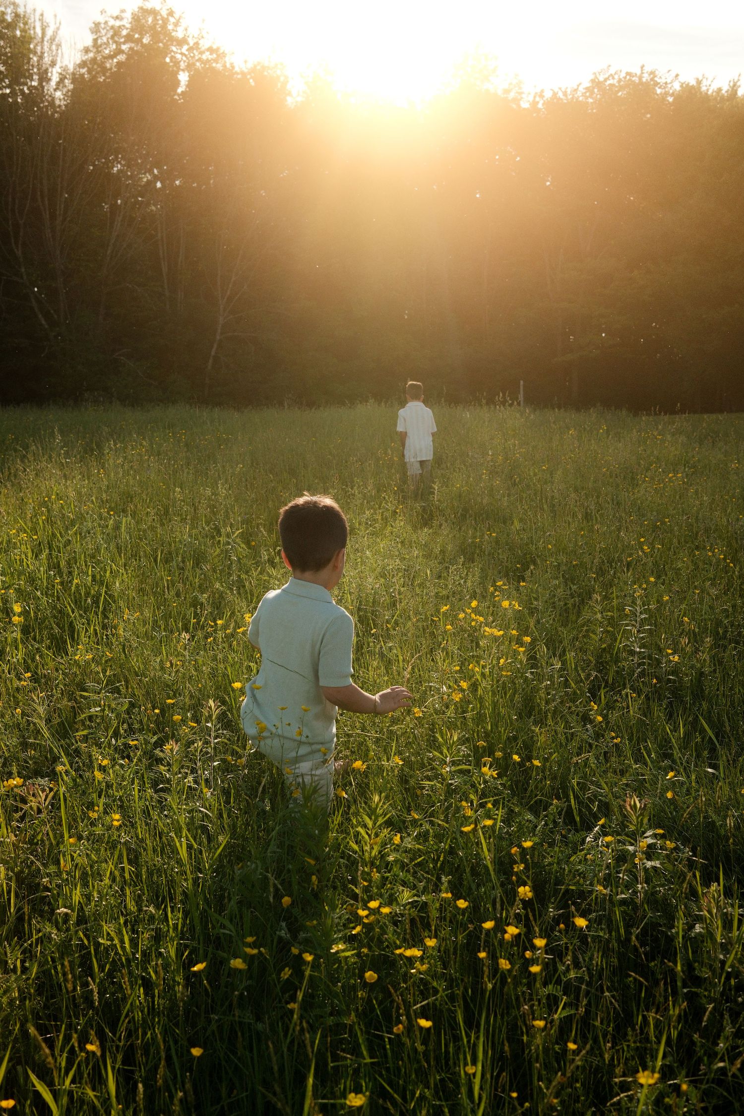 A young boy walks through a wildflower meadow toward another child in warm golden sunset light.