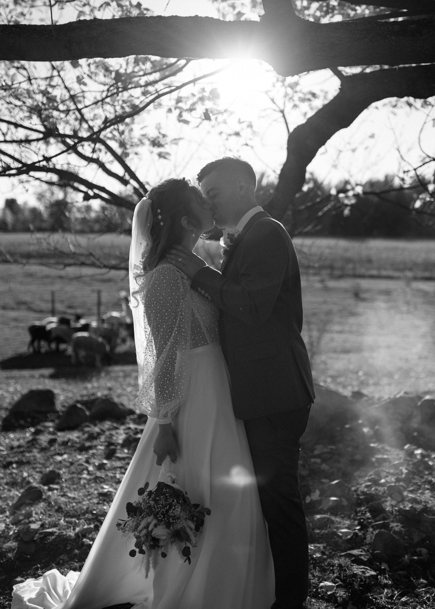 Black and white romantic photo of bride and groom kissing under a tree at sunset on a farm.
