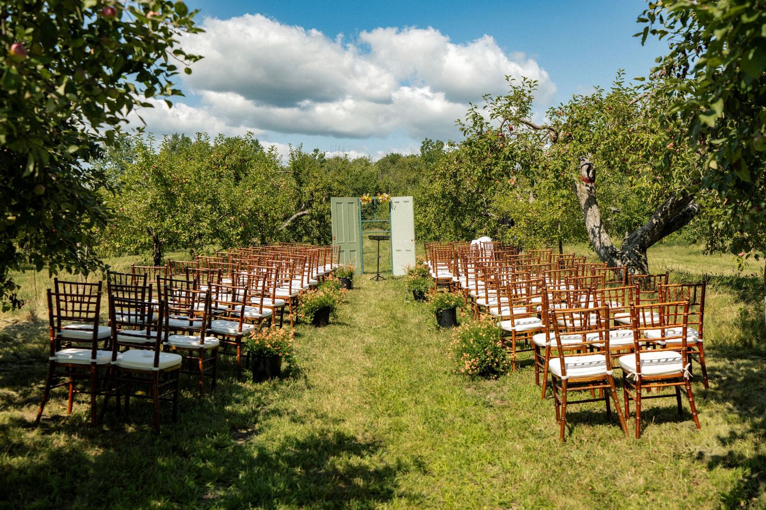Outdoor wedding ceremony setup with wooden chairs and green door arch in a sunny apple orchard.