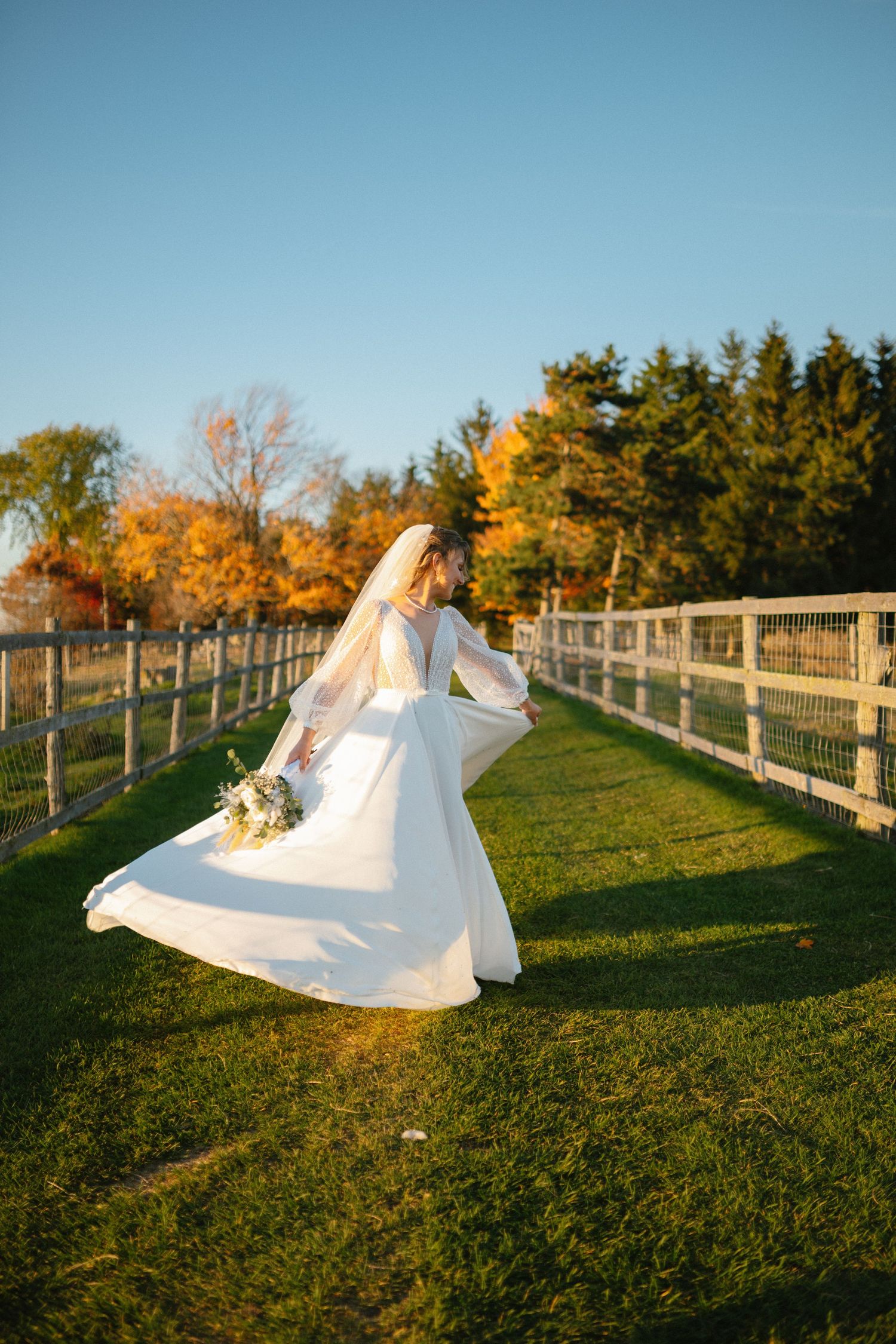 Bride in flowing white gown and veil twirls along fenced green pasture in golden autumn sunlight.