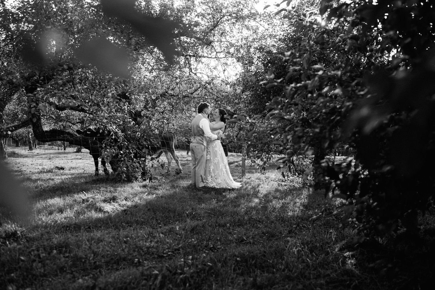 Black and white romantic photo of bride and groom embracing in a lush orchard.