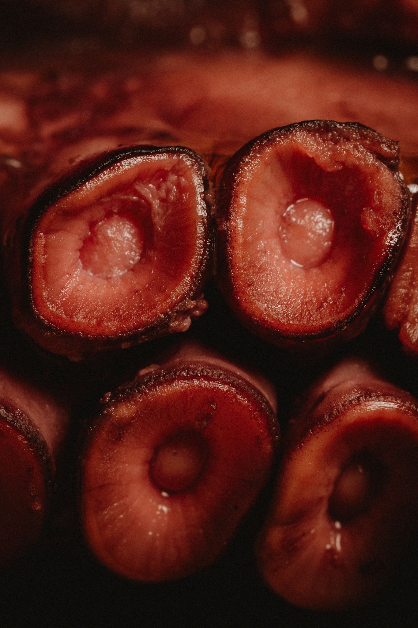 Close-up macro photo of sliced octopus tentacles showing circular suckers with pink flesh texture.