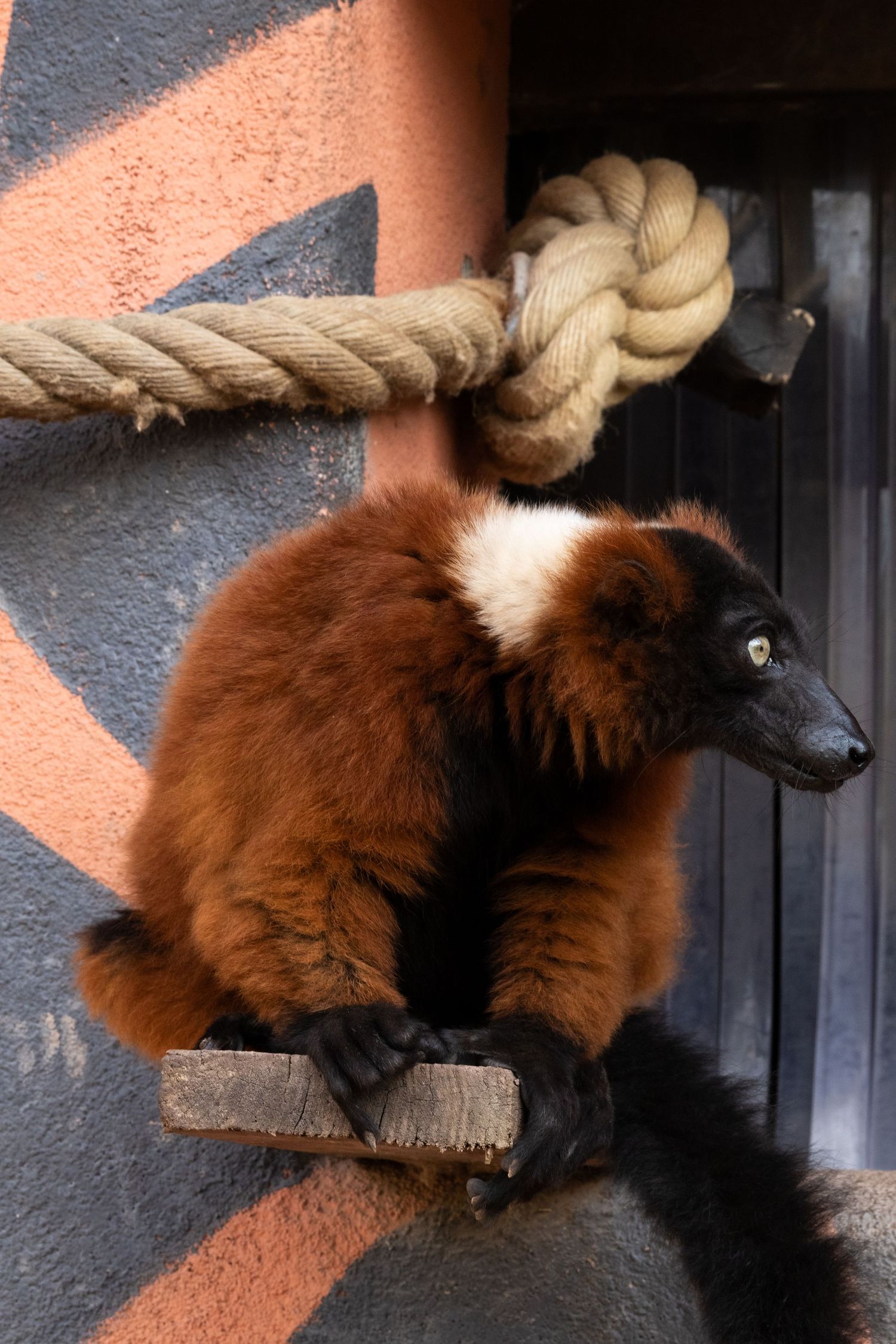 Zoo