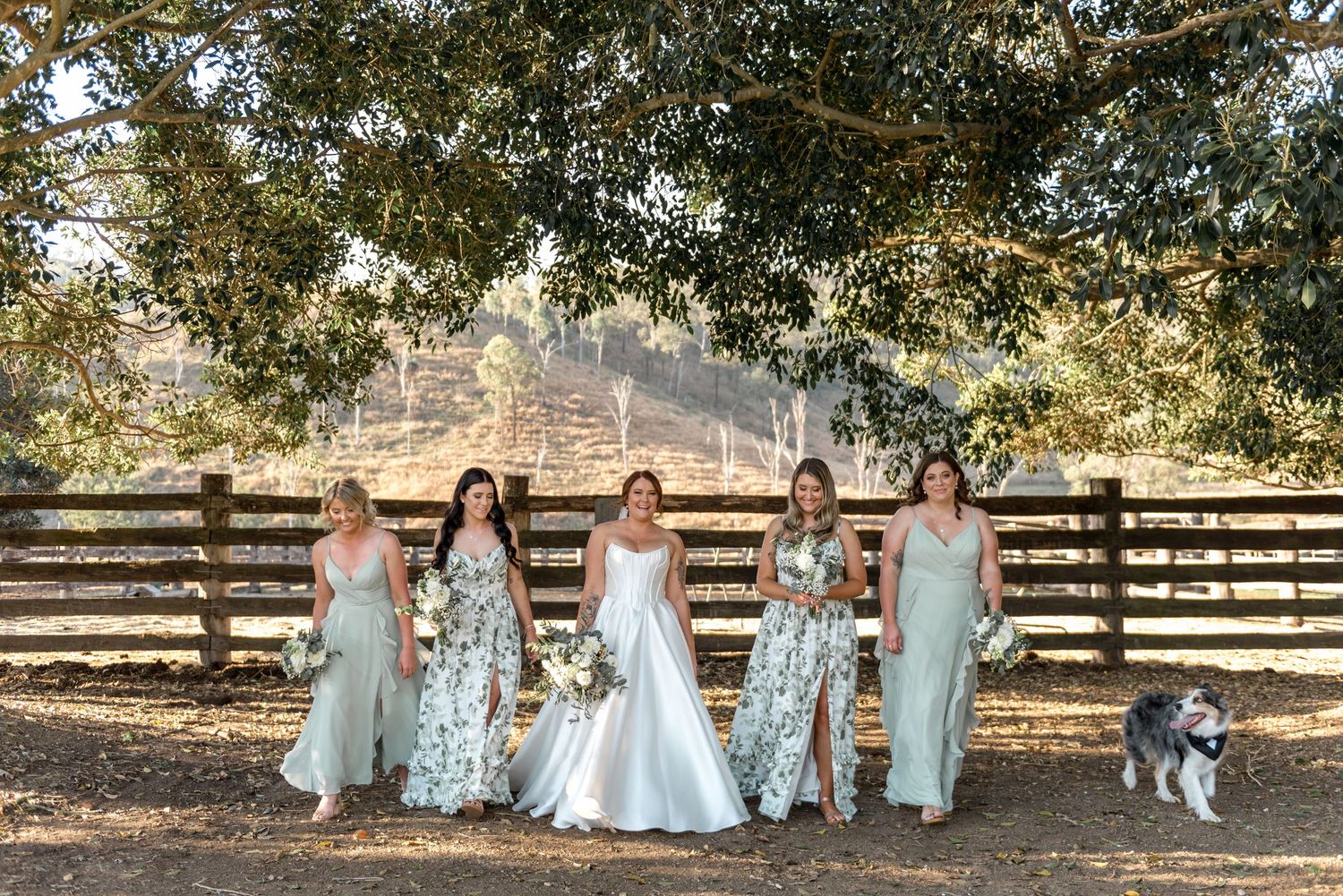 Bride in white gown walks with four bridesmaids in sage green dresses with dog nearby.