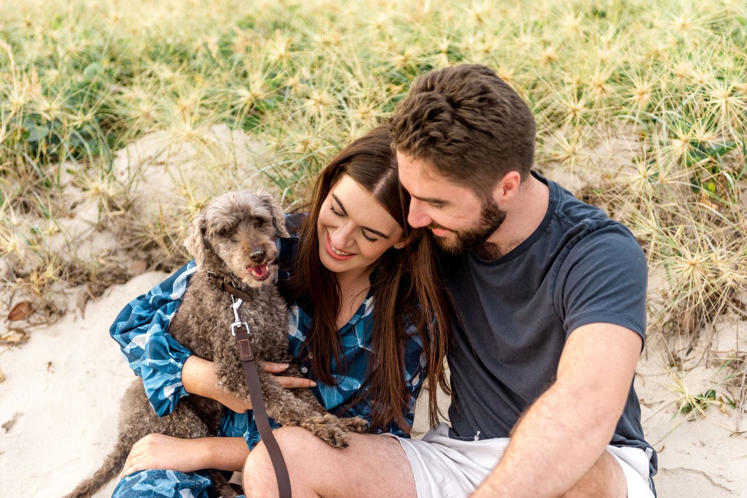 Couple sitting together on sandy beach dunes cuddling gray dog, surrounded by beach grass.