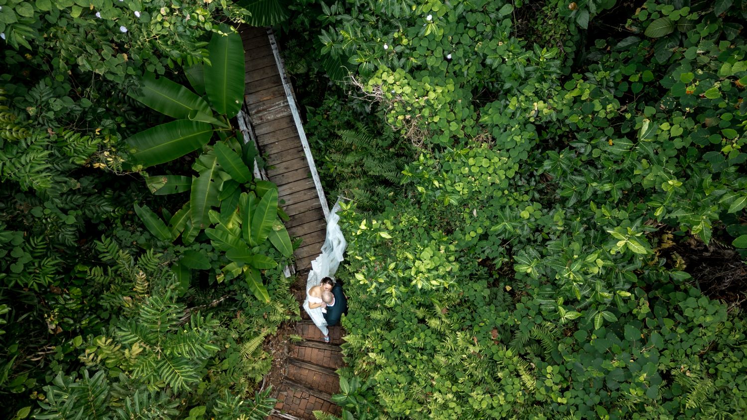 Aerial view of bride and groom embracing on wooden bridge surrounded by lush tropical rainforest.