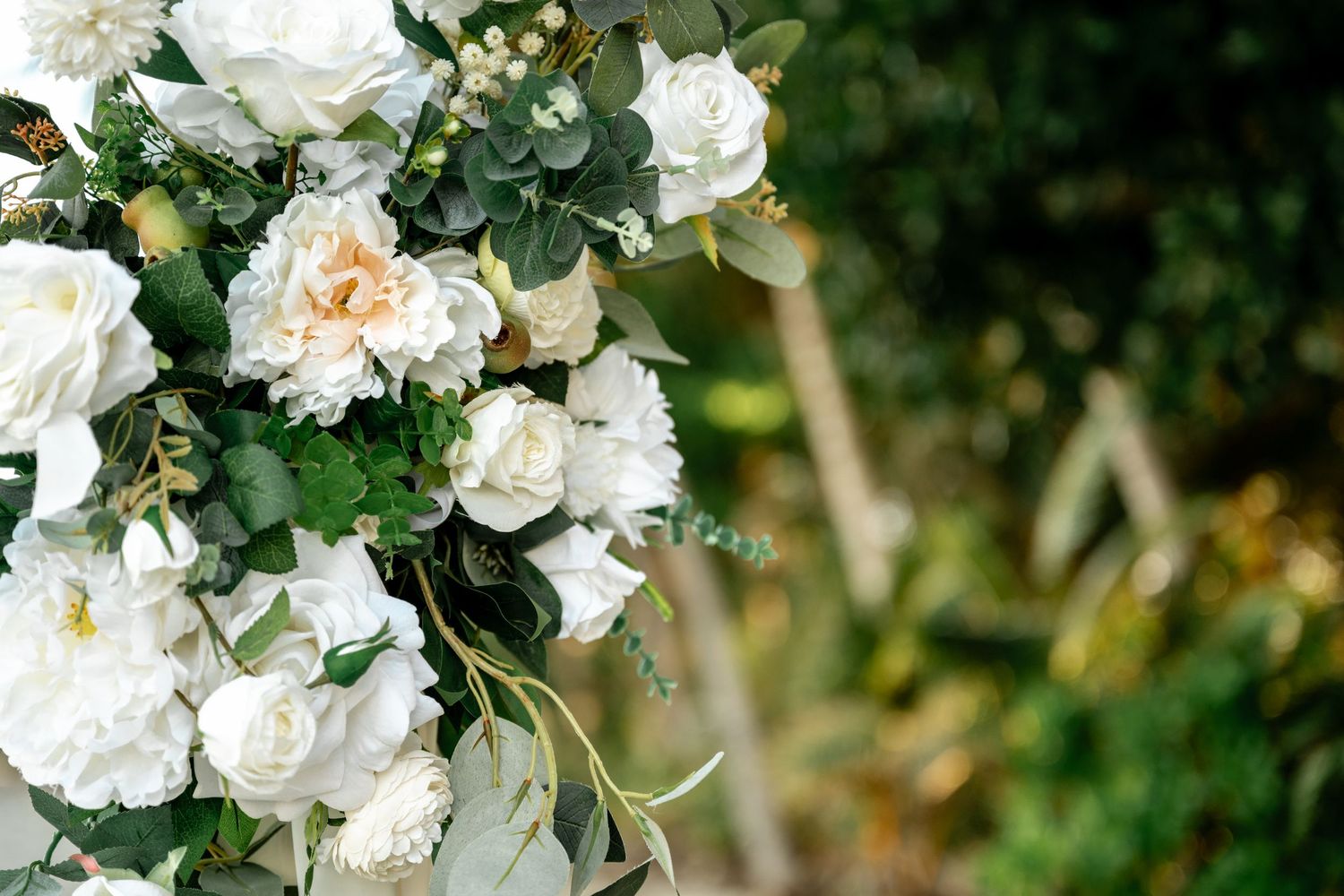 Close-up of beautiful white roses and peonies with green eucalyptus leaves for a wedding decoration at Four Mile Beach, Port Douglas.