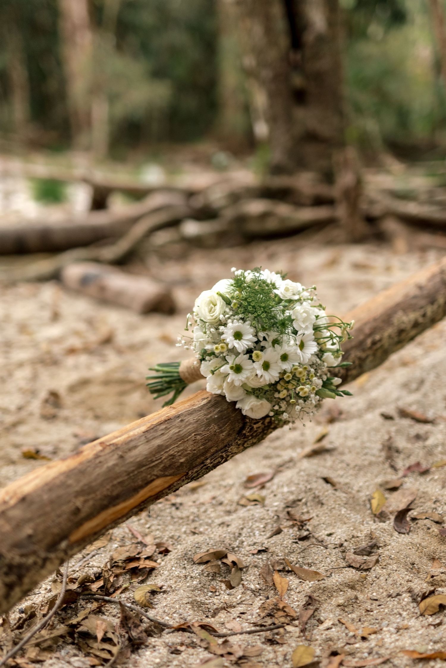 Elegant white bridal bouquet of daisies and gypsophila resting on driftwood in forest setting.