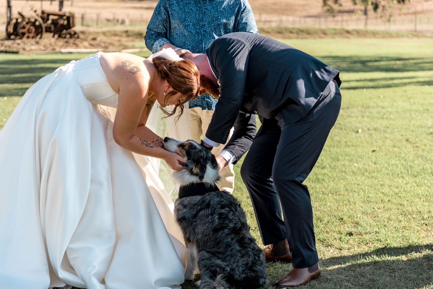 Bride and groom bend down to pet their dog dressed in a tuxedo collar during outdoor wedding ceremony.