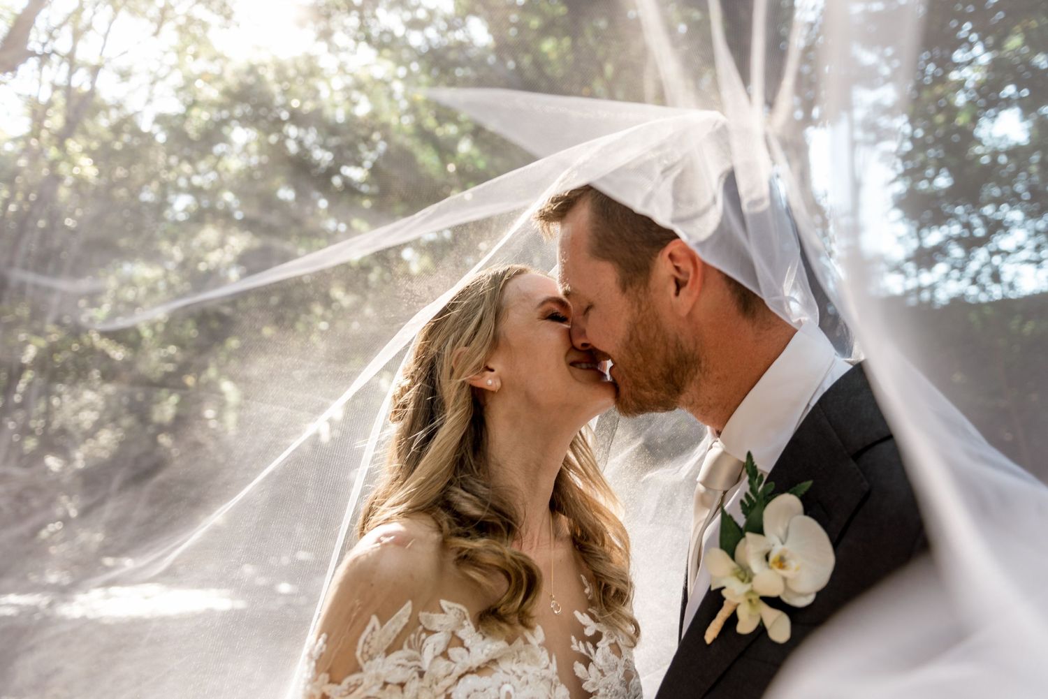 Bride and groom sharing romantic kiss under sheer veil with sunlight filtering through trees.