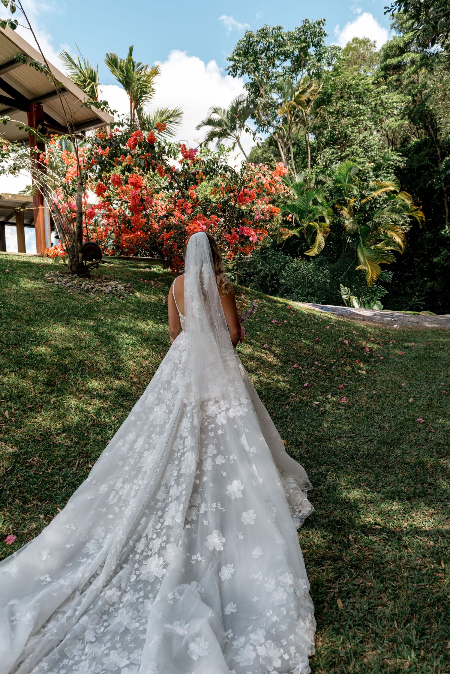Rear view of bride in floral lace wedding dress with cathedral veil walking toward vibrant red flowers.