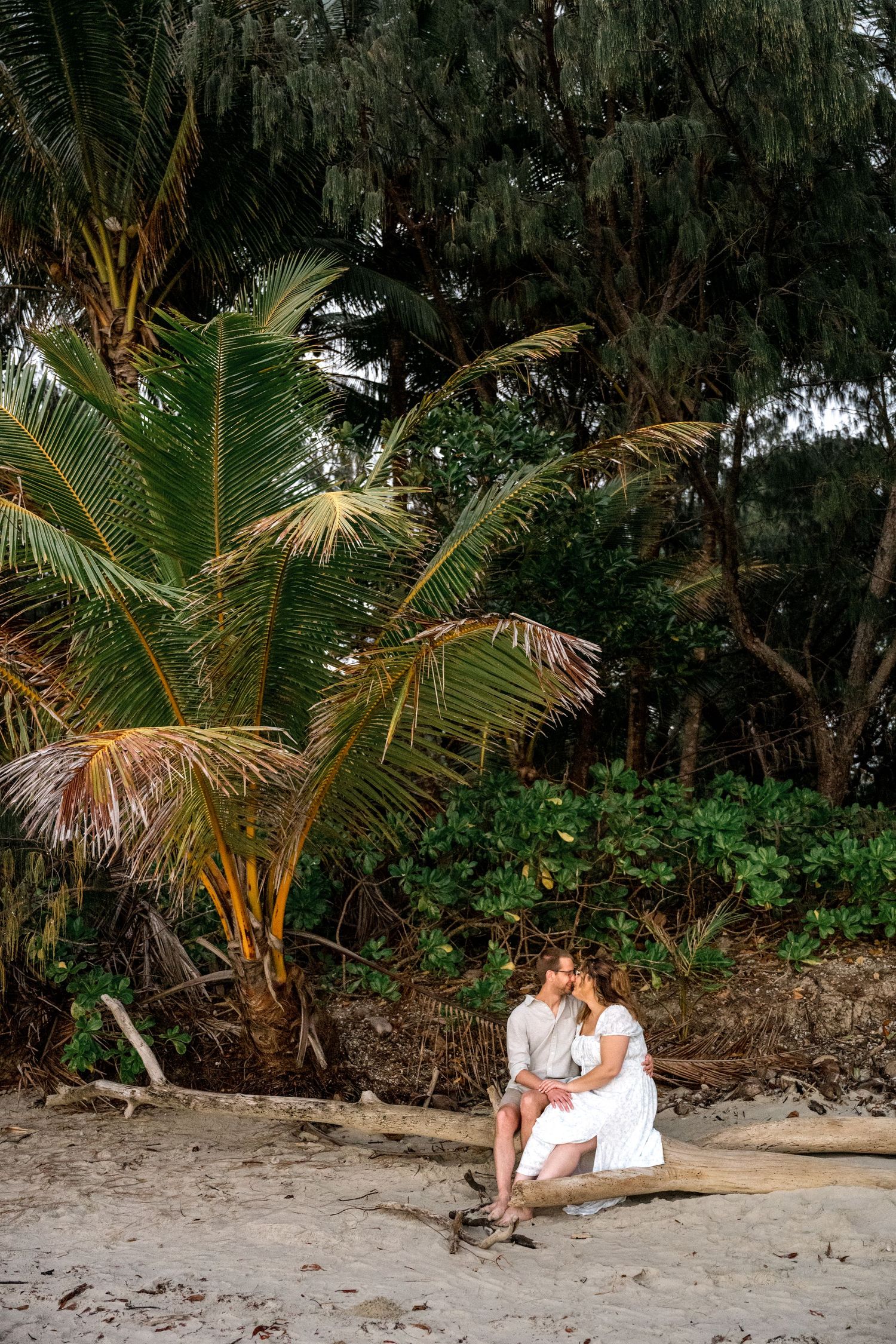 Couple sitting and kissing on driftwood beneath lush palm trees on a tropical beach at Four Mile Beach, Port Douglas.