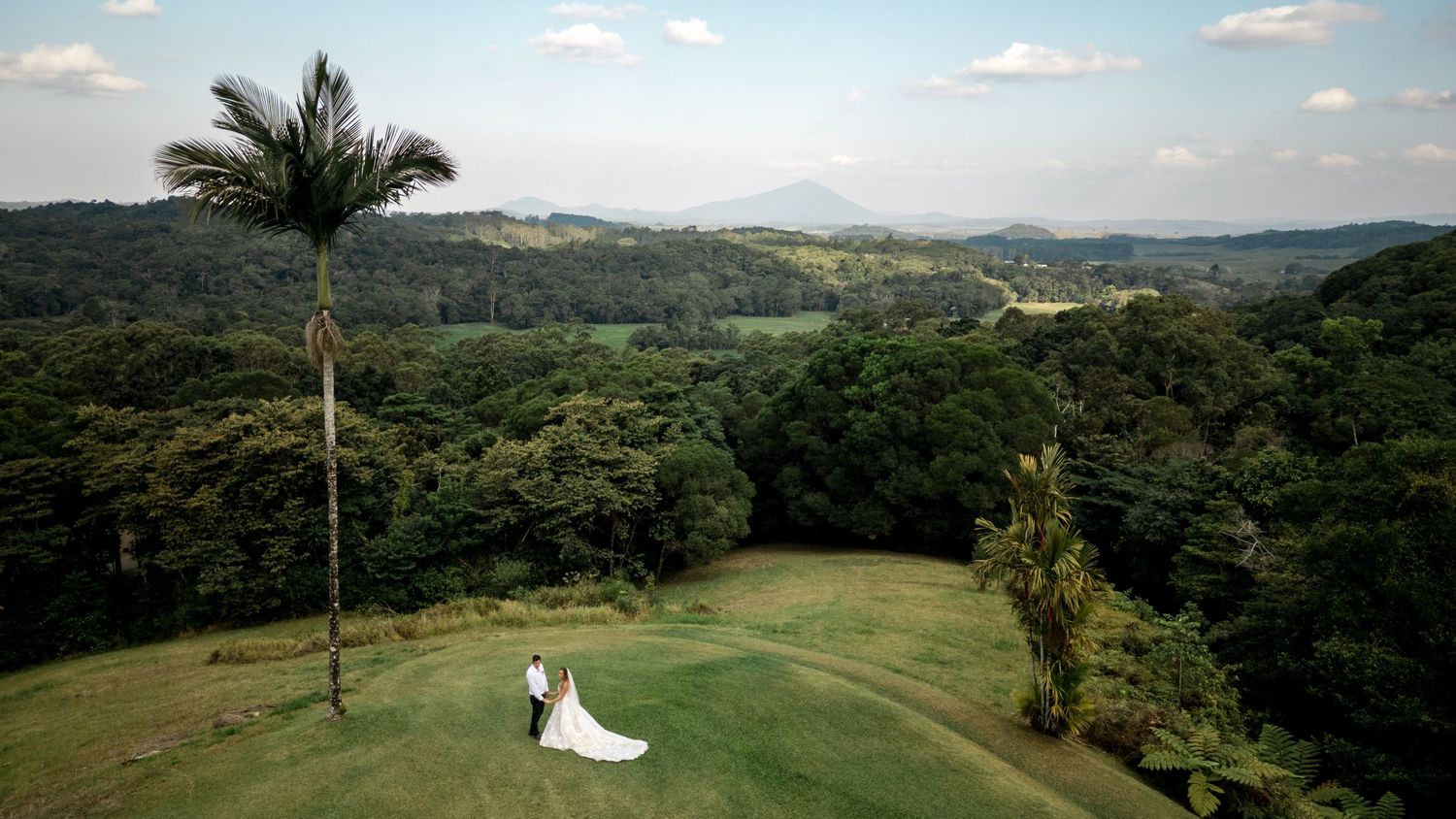 Aerial view of wedding couple standing beside a tall palm tree overlooking a lush tropical valley.