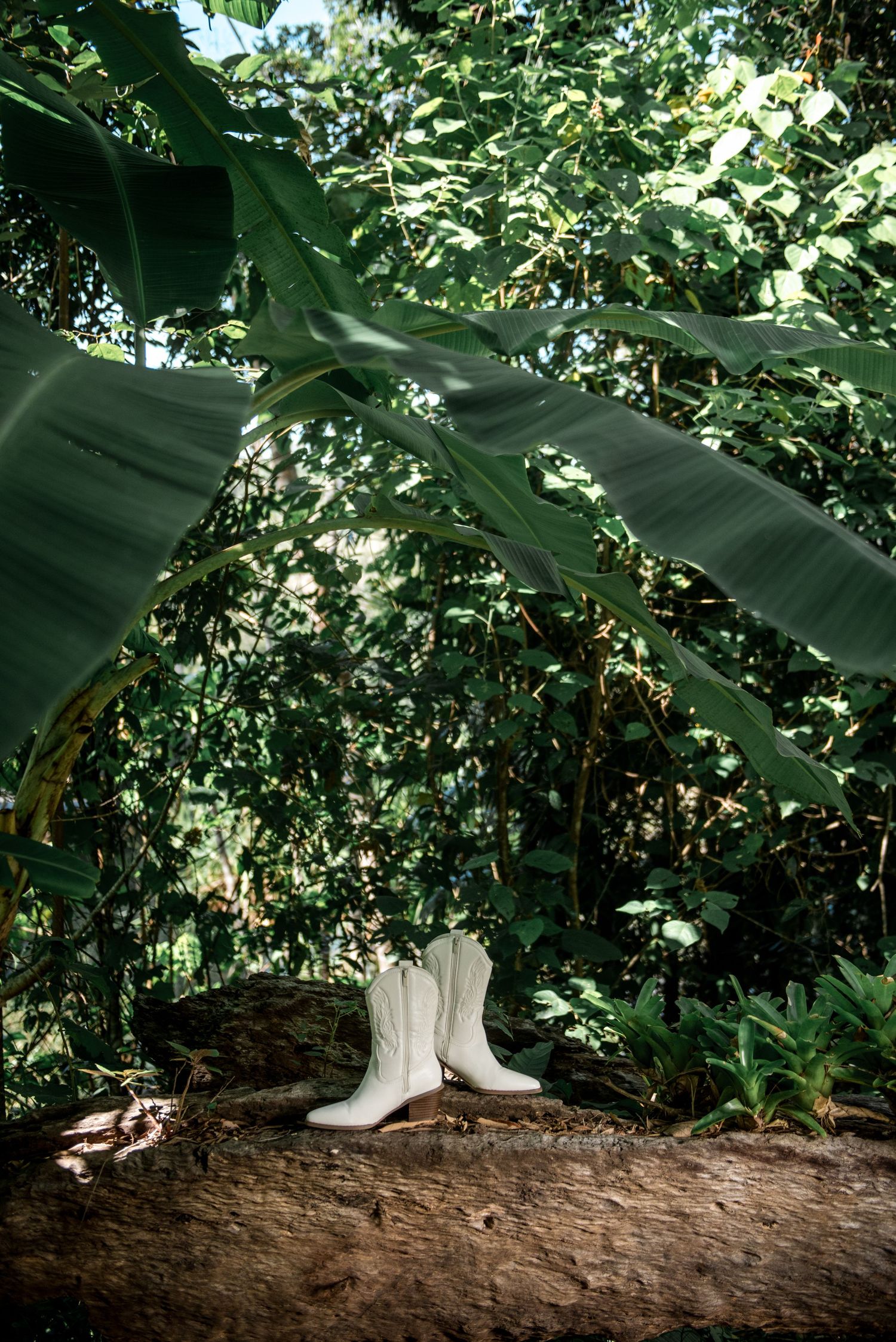 White cowboy boots sitting on a log surrounded by lush tropical greenery.