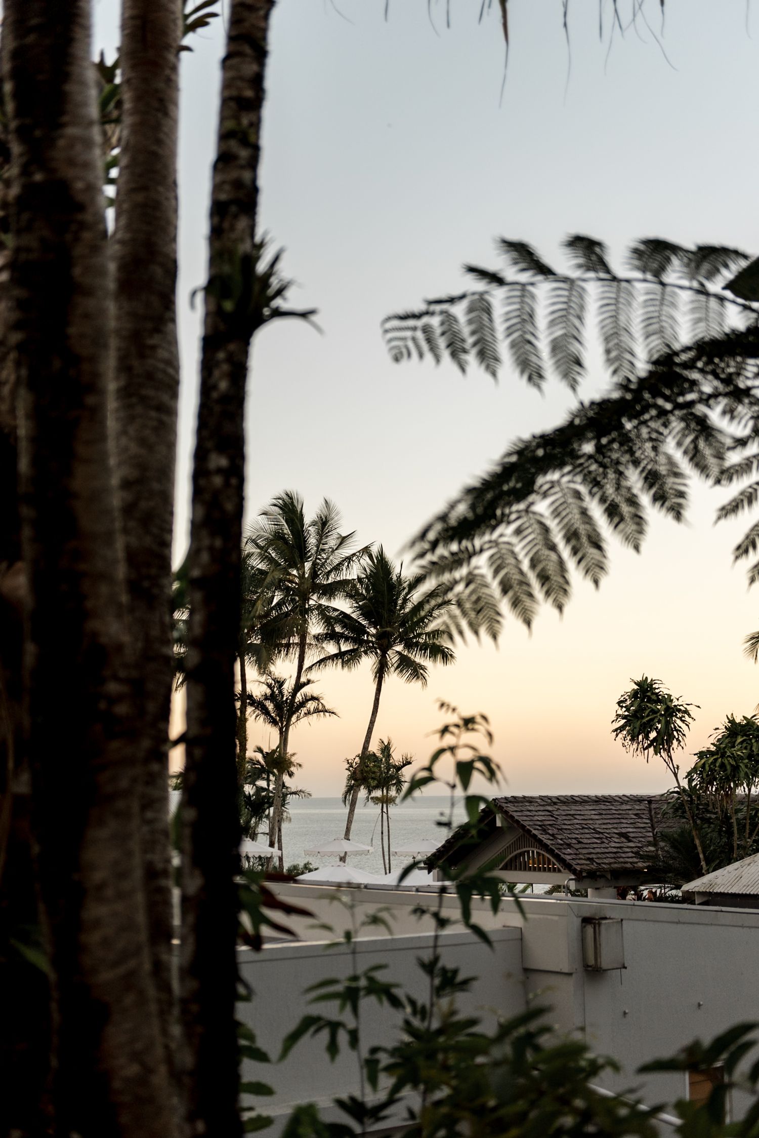Tropical sunset view through palm trees and ferns overlooking the ocean at a beachside wedding venue.