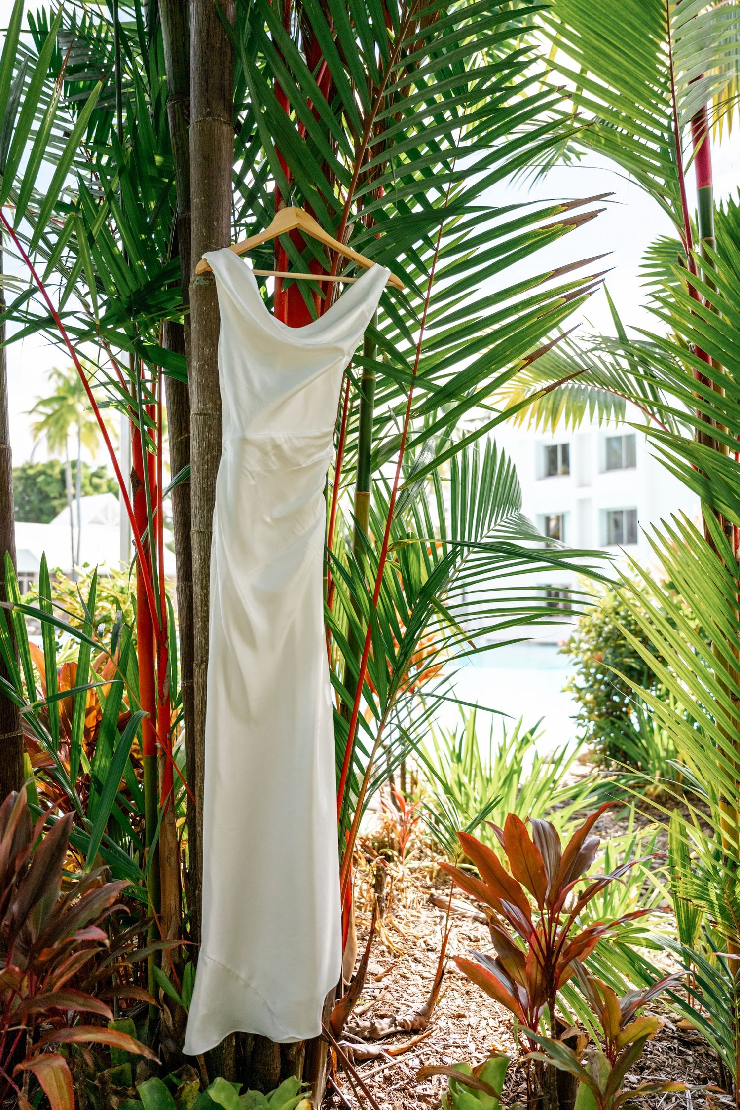 Elegant white bridal gown displayed on hanger among tropical palm trees and colorful garden plants.