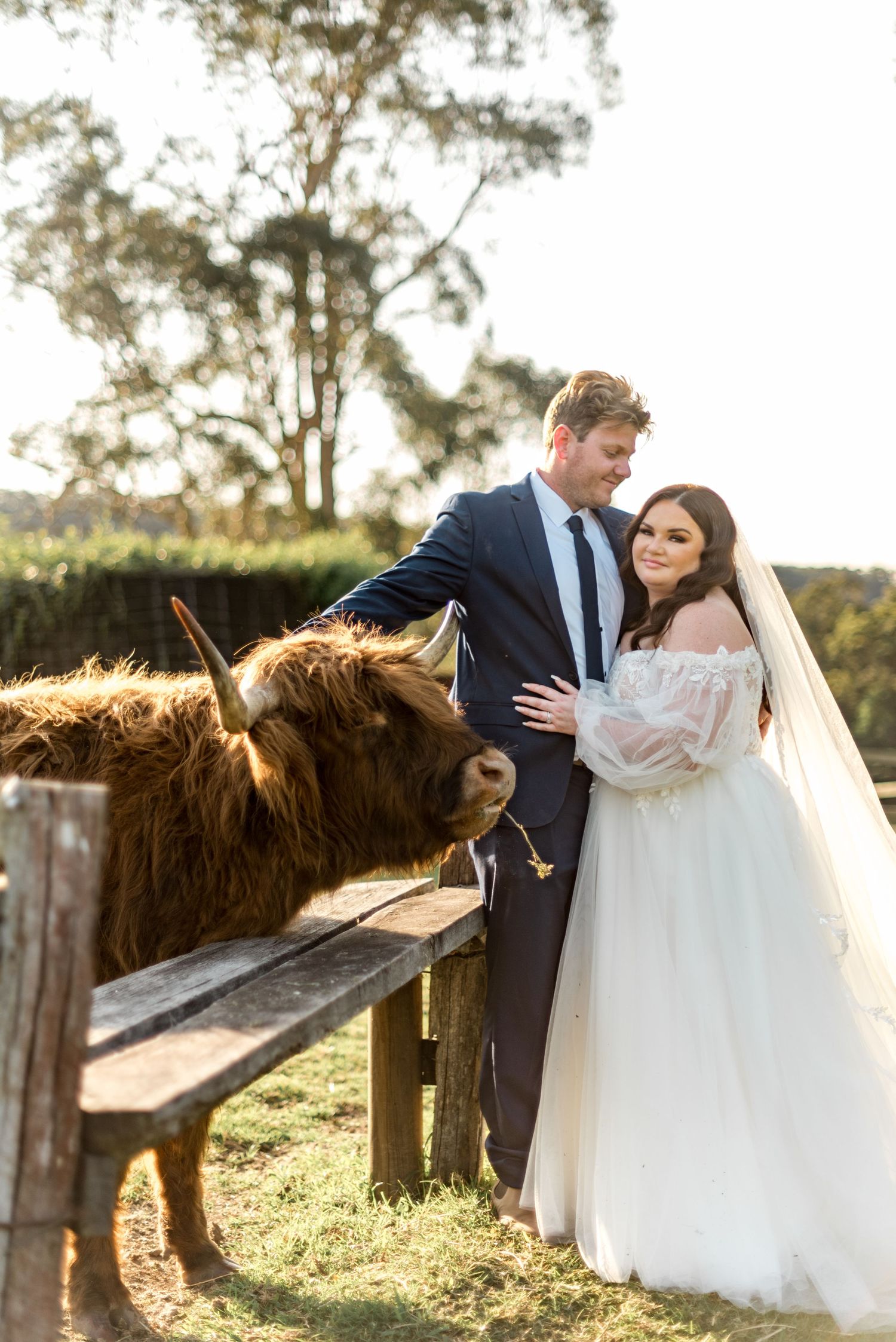 Smiling bride and groom stand beside a Highland cow at a sunny outdoor farm wedding.