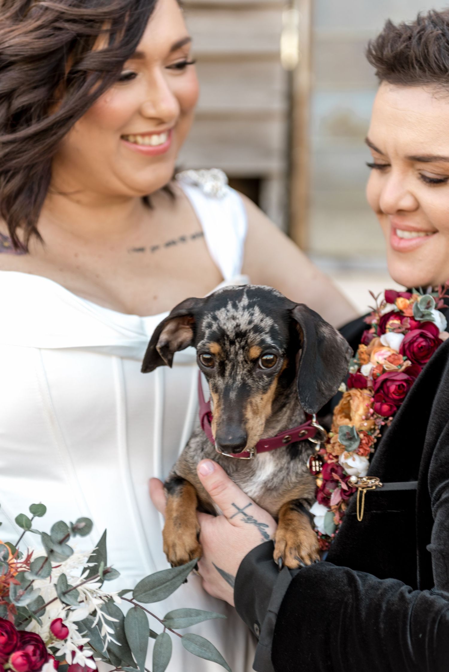 Two brides lovingly hold their dachshund dog wearing a burgundy collar at their wedding ceremony.