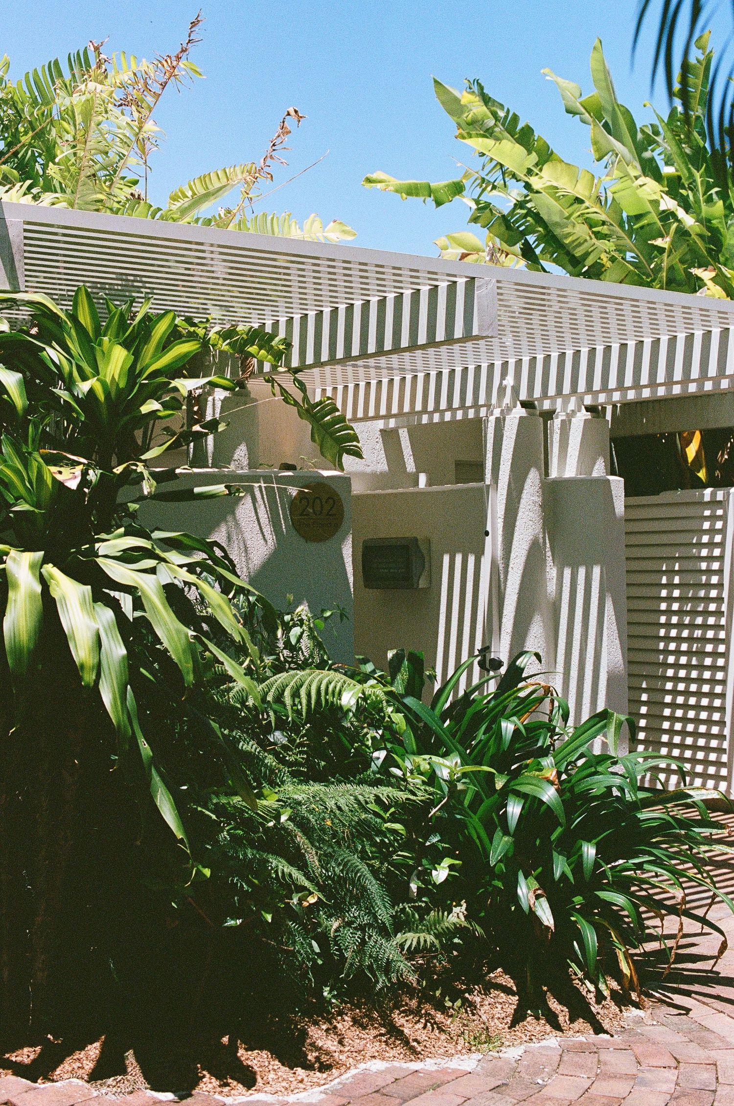 White lattice fence and pergola surrounded by tropical plants including banana trees in bright sunlight.