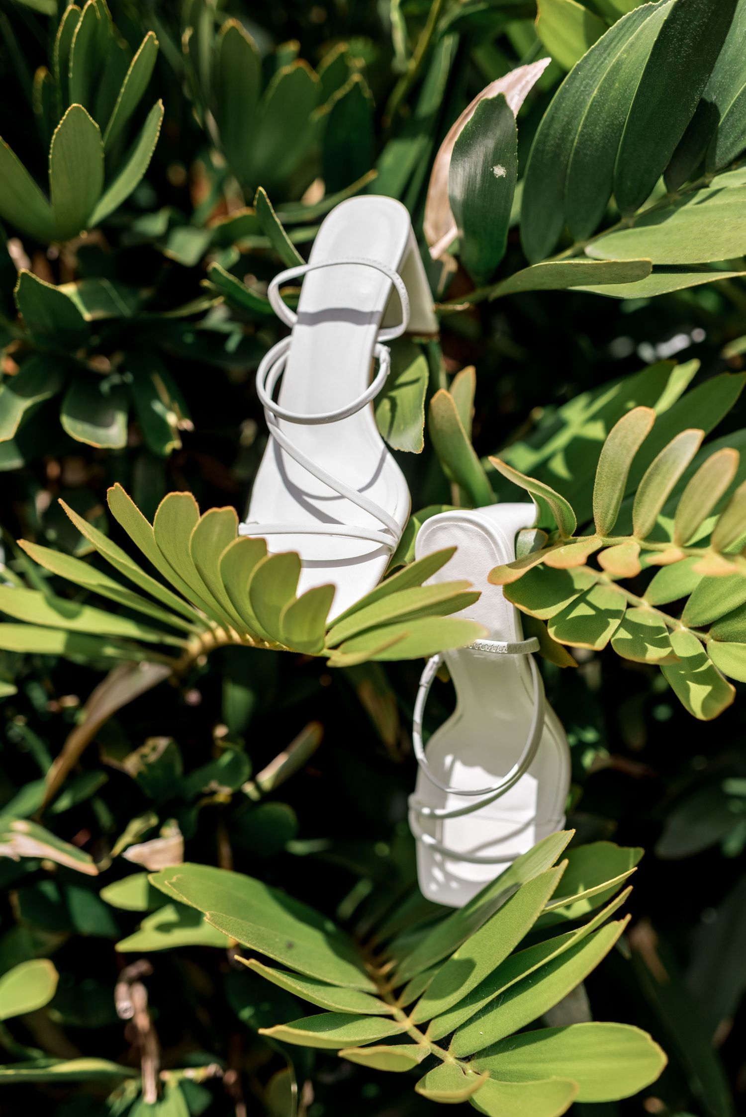 White strappy bridal heels displayed on lush green tropical foliage in bright natural sunlight.