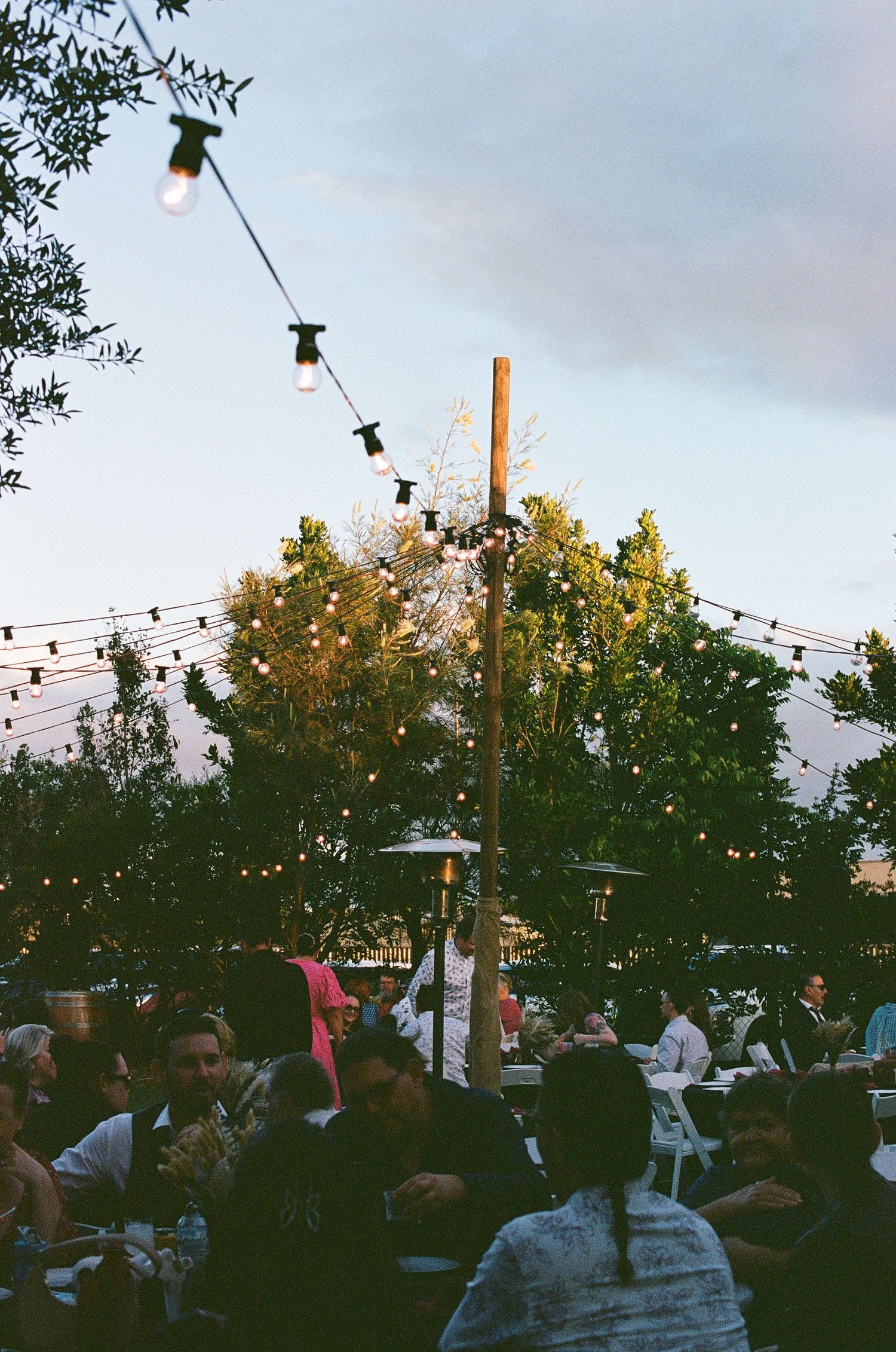 Evening wedding reception with warm string lights glowing above guests seated outdoors among lush green trees.