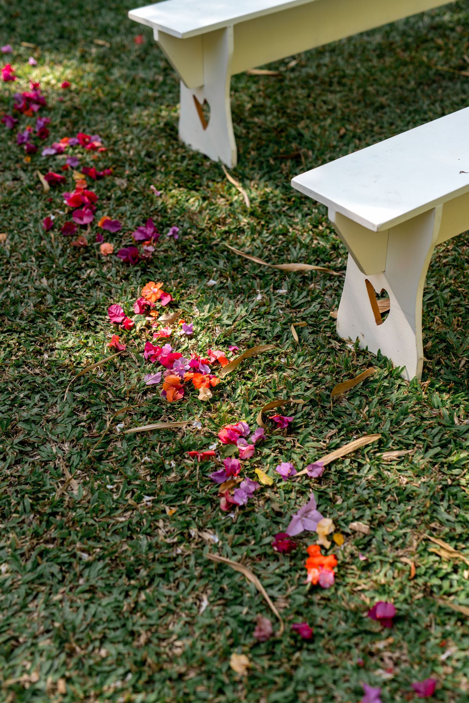 White wooden wedding ceremony benches with colorful flower petals scattered along the grass aisle.
