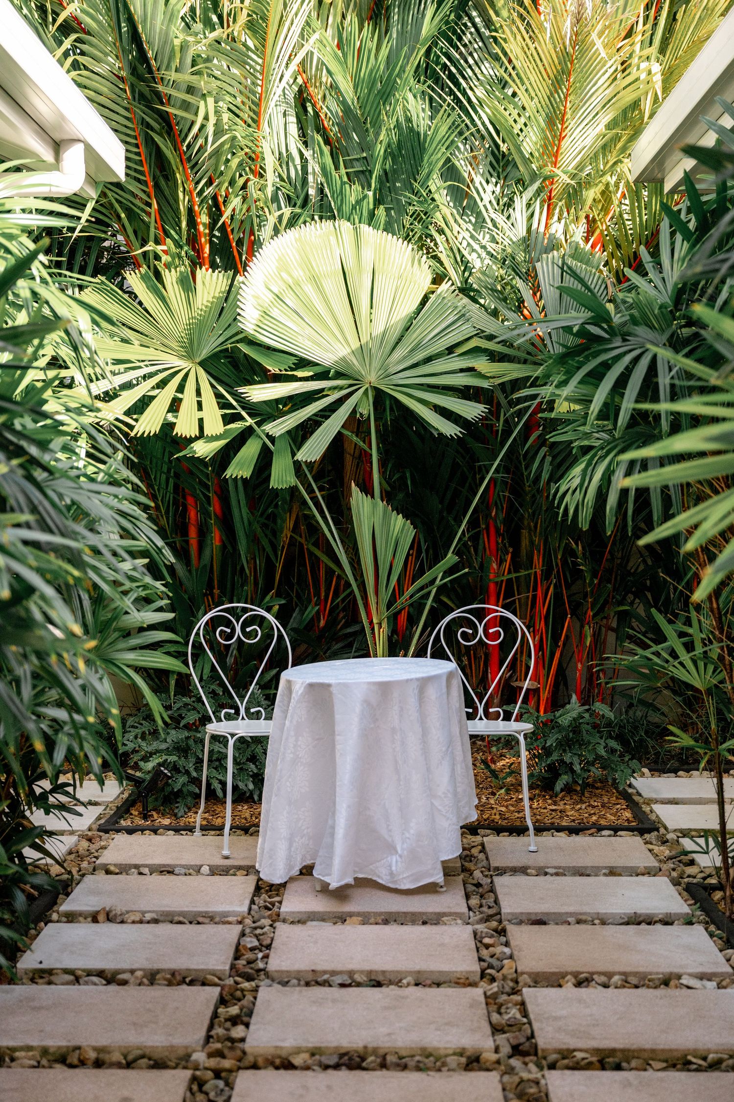 Elegant outdoor dining setup with white bistro chairs and round table surrounded by lush tropical palms.