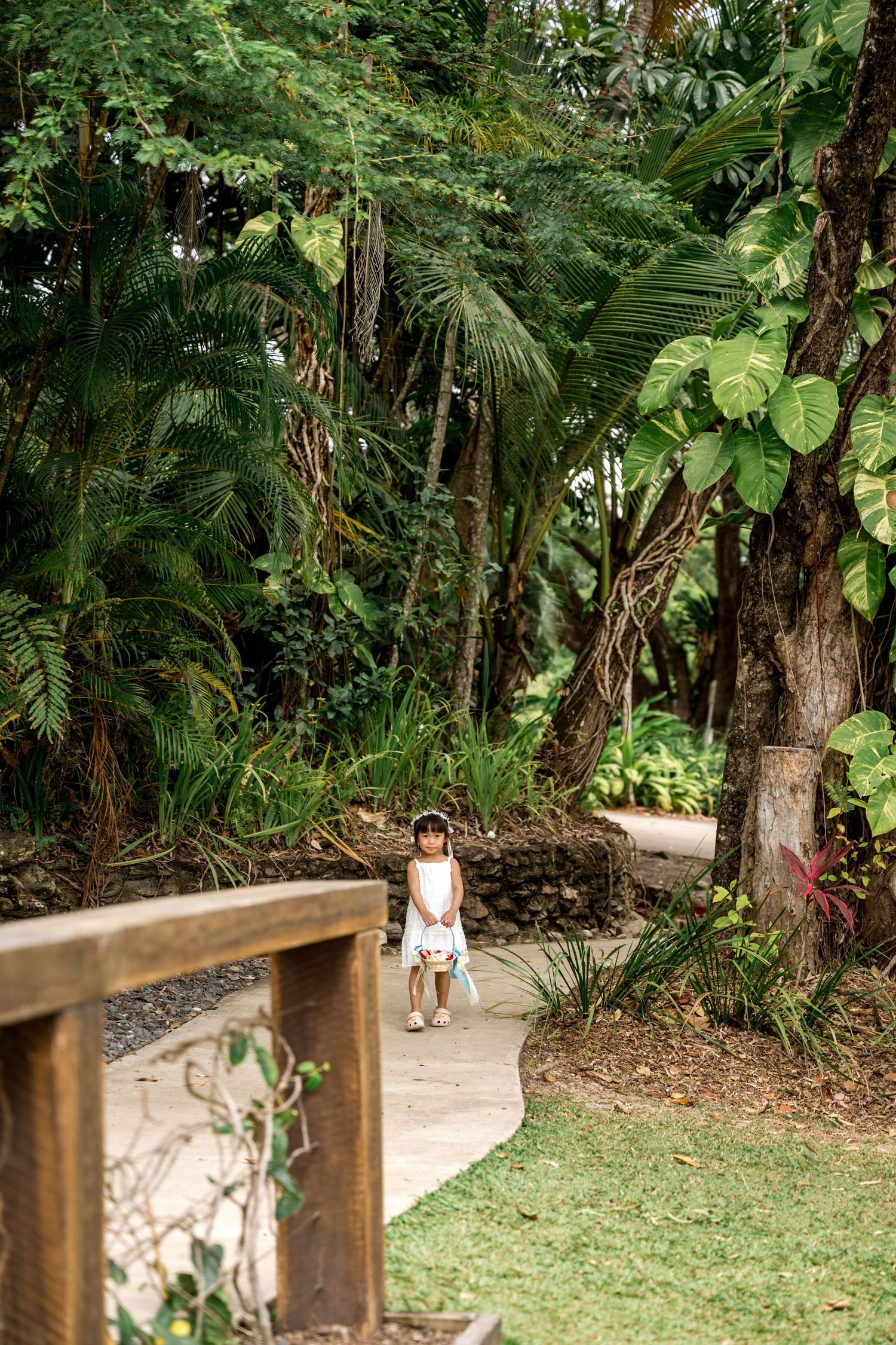 Young flower girl in white dress stands on tropical garden path holding basket at Little Cove, Port Douglas.