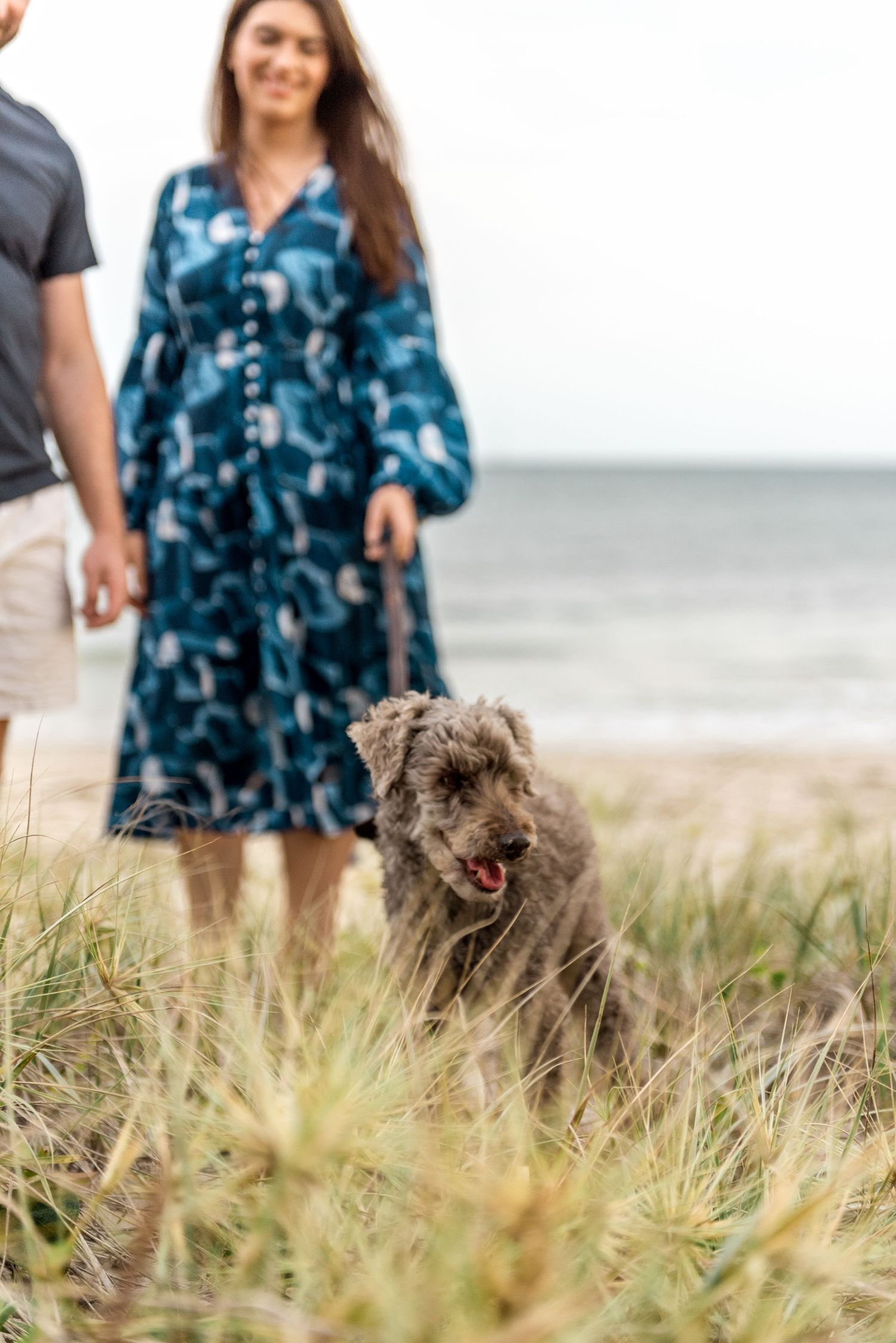 Couple walking grey dog through beach grass dunes with ocean in background.