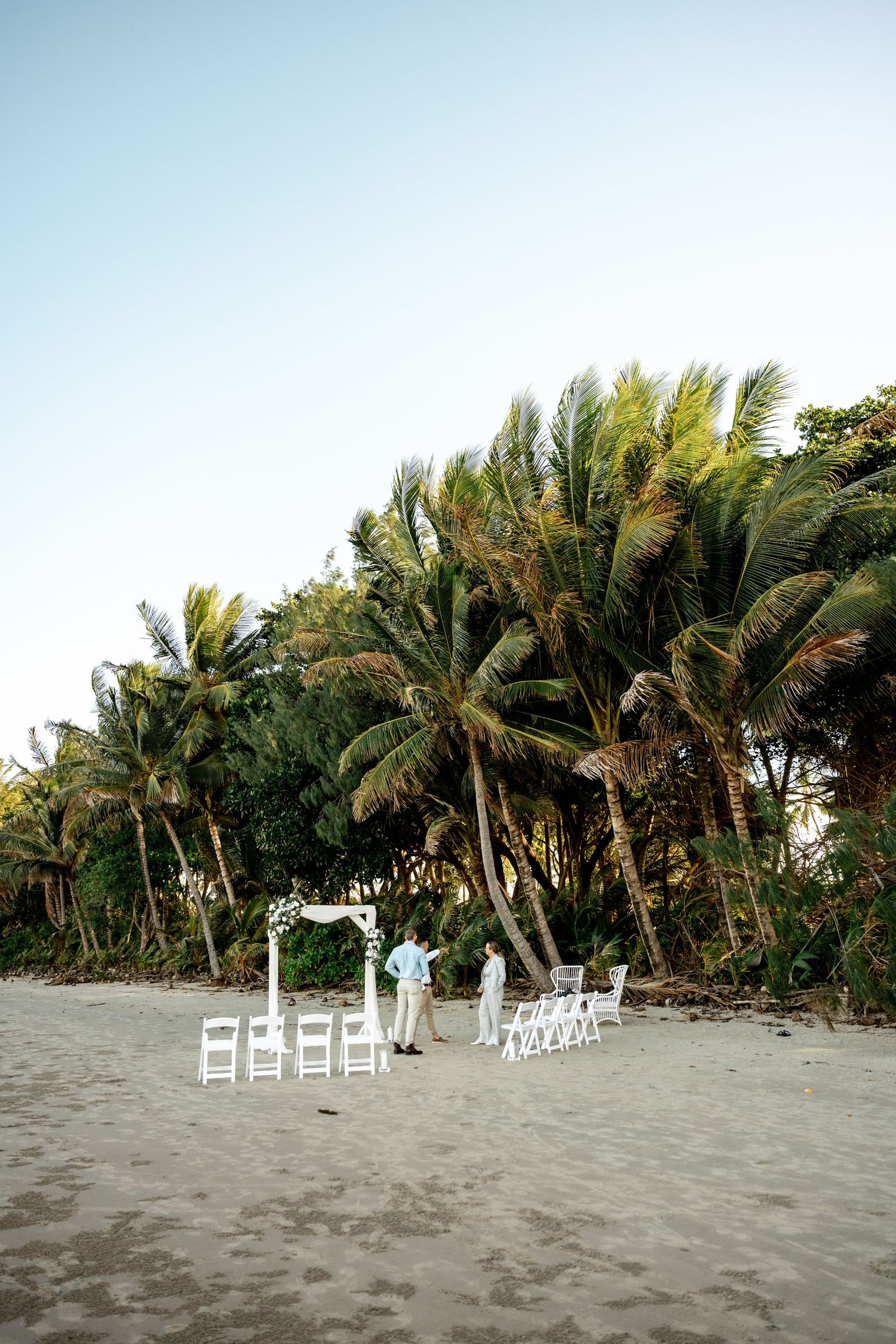 Outdoor beach wedding setup with white chairs and floral arch surrounded by tall tropical palm trees at Four Mile Beach, Port Douglas.